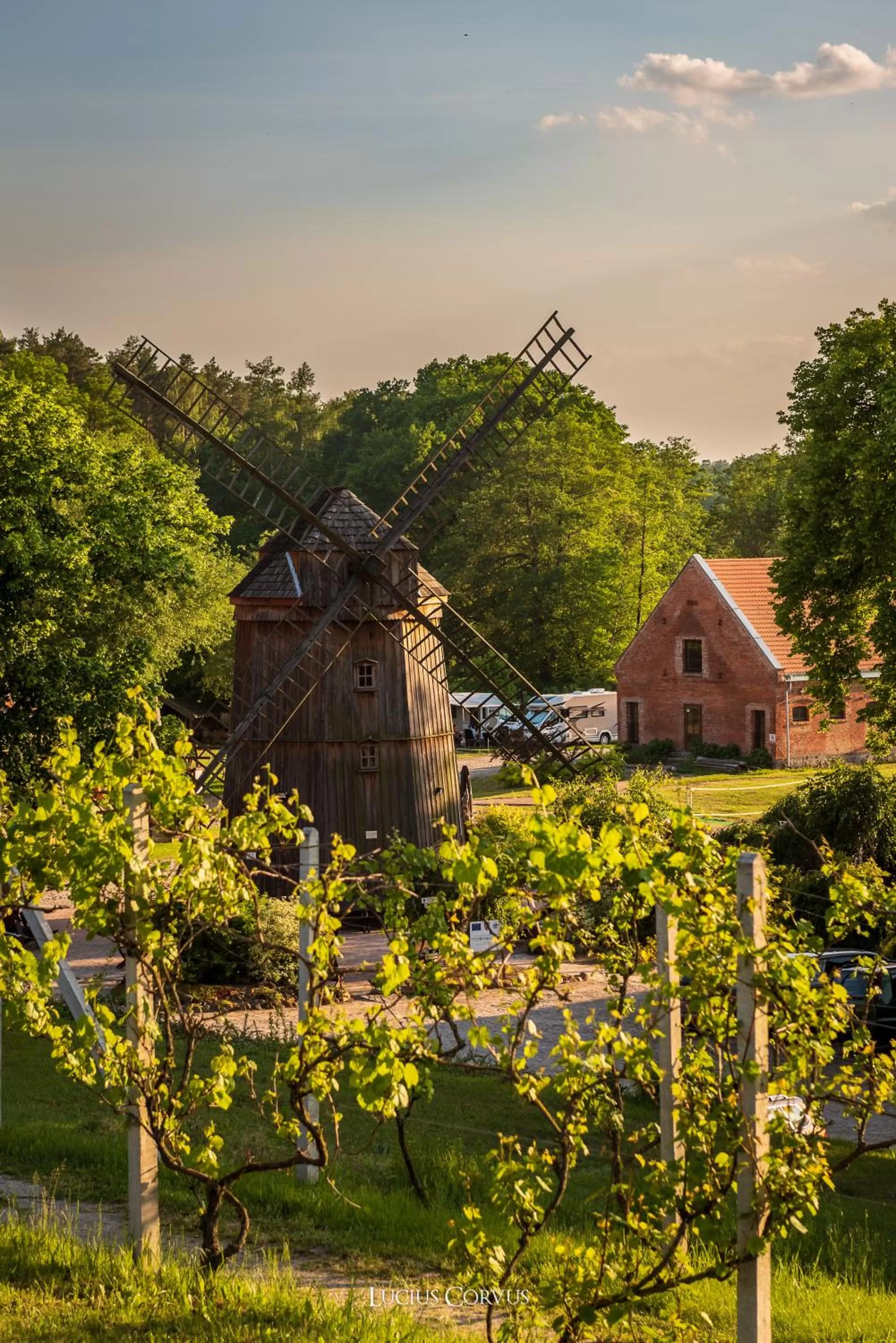 Activities, Property Building in Olandia
