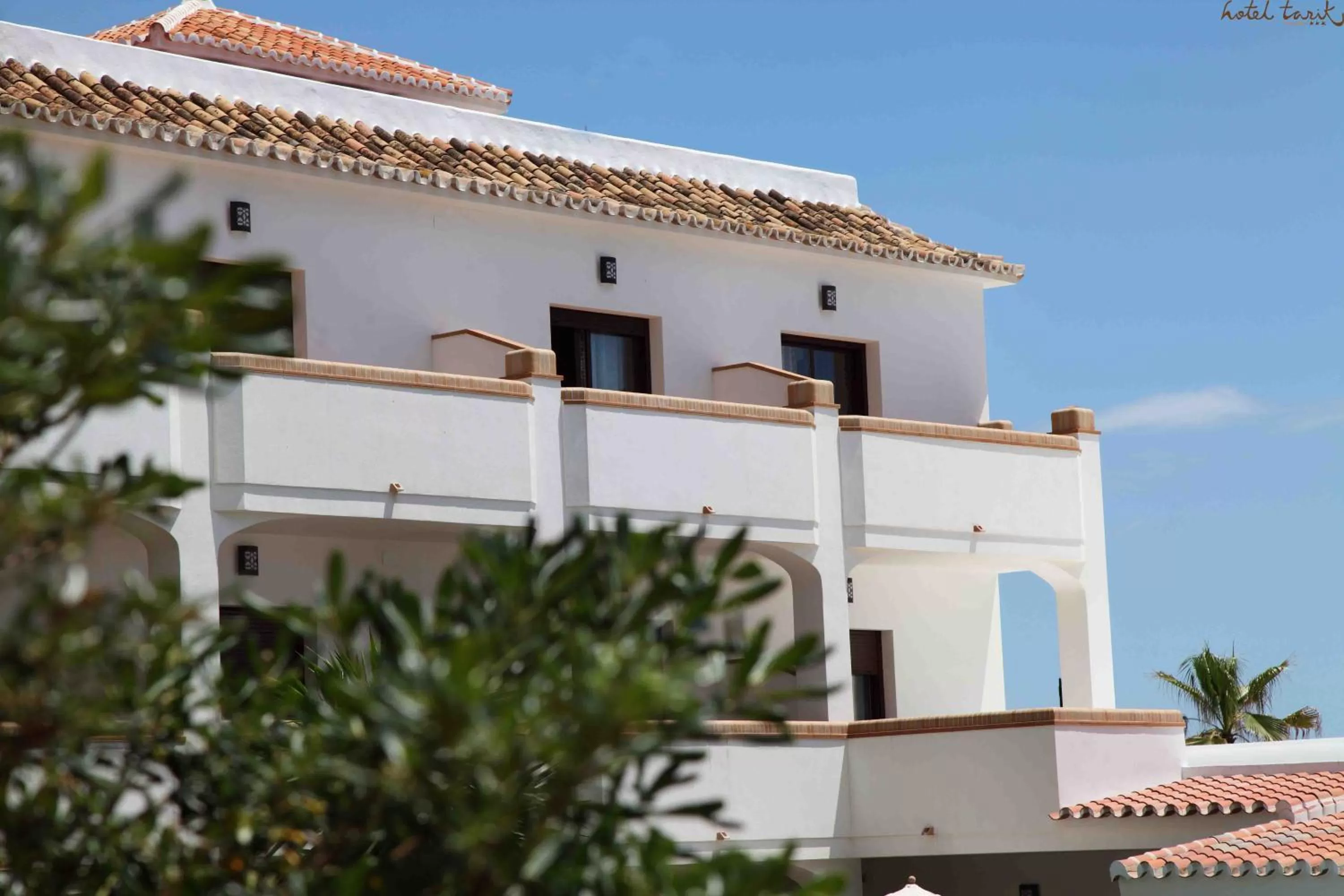 Decorative detail in Hotel Tarik