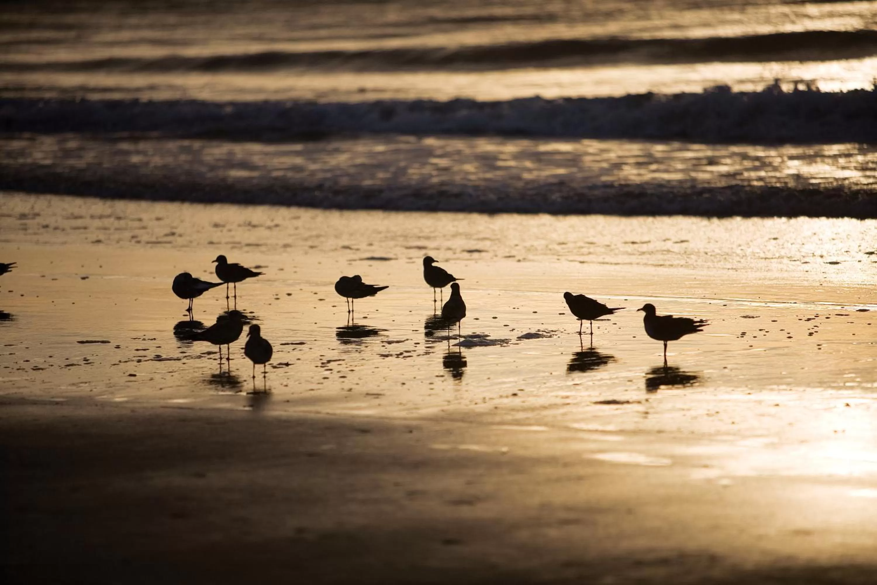 Spring in Marina Inn at Grande Dunes