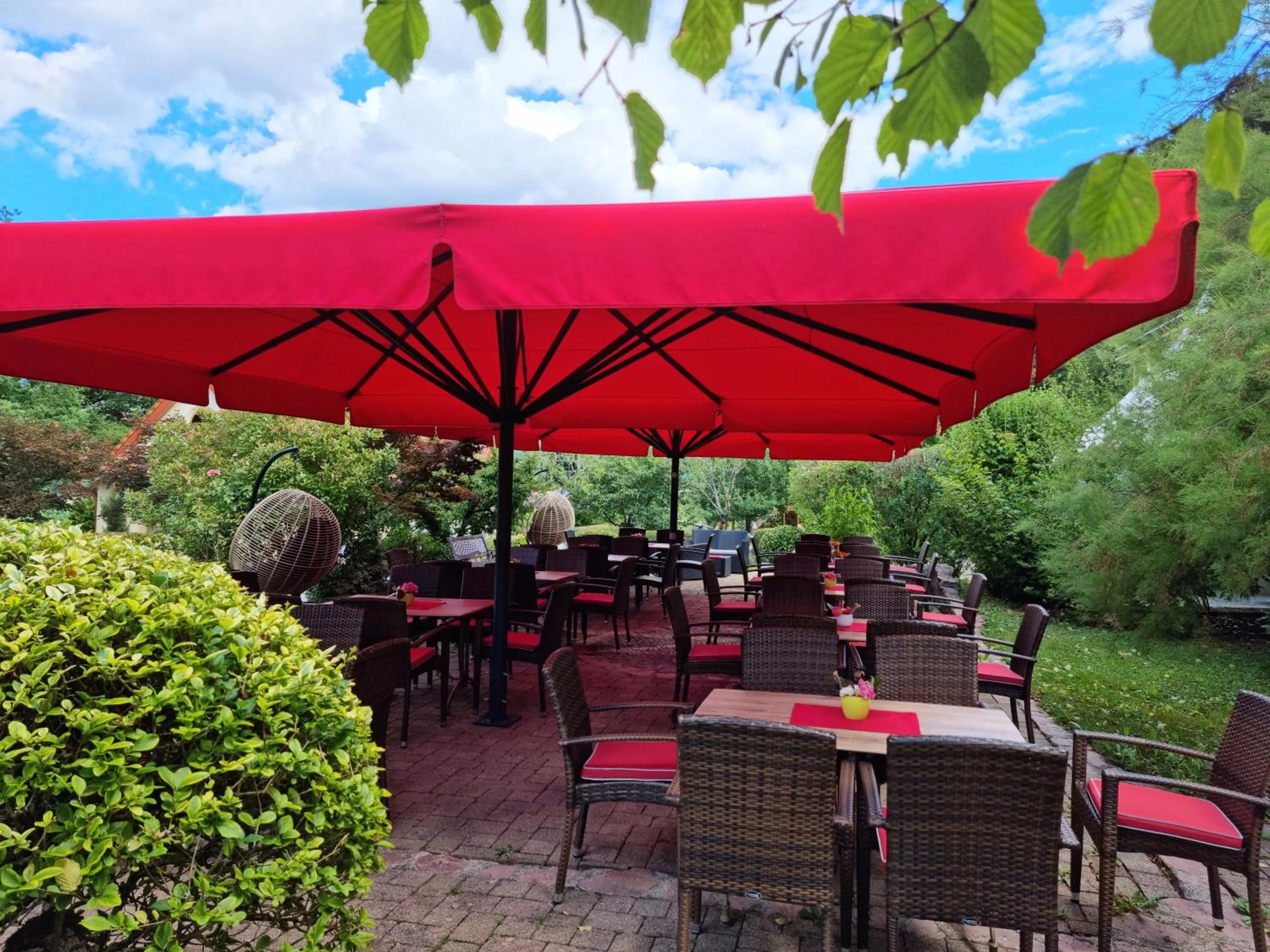 Garden in Silberkönig Schwarzwald Hotel & Restaurant Ringhotel