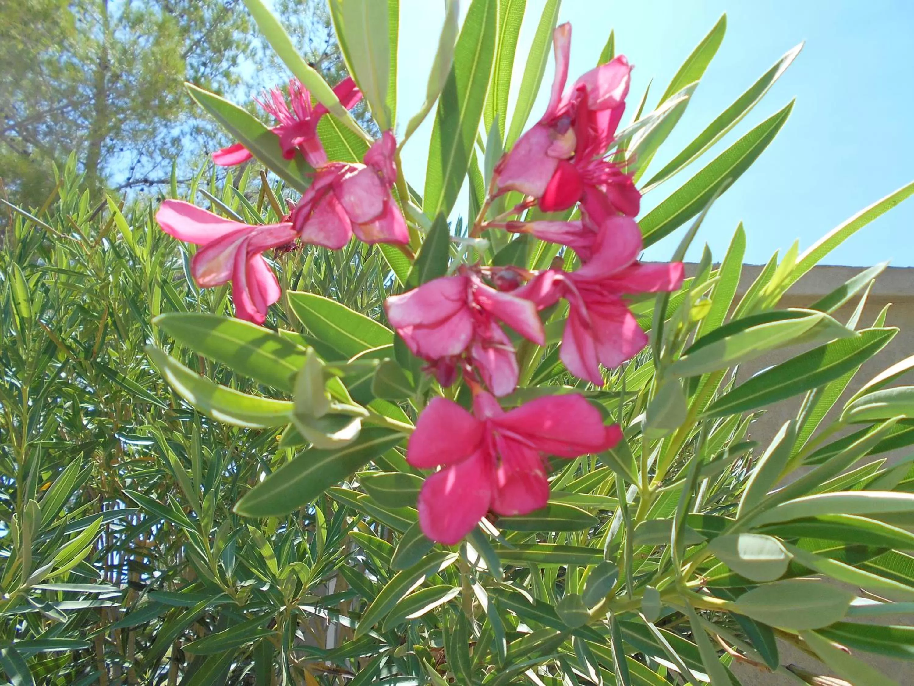 Other in Atomic Inn Beatty Near Death Valley