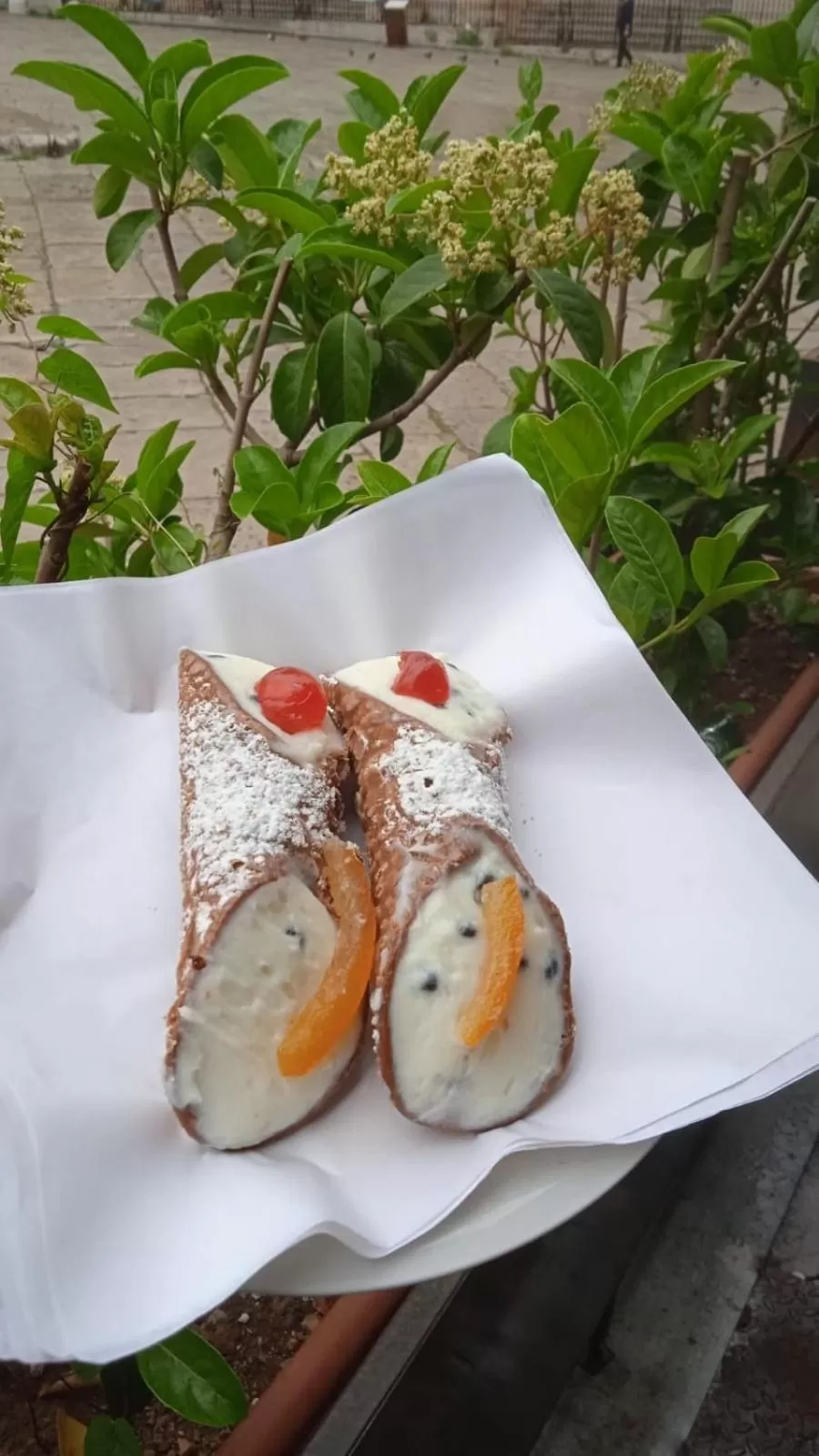 Food and drinks in Maqueda Suites