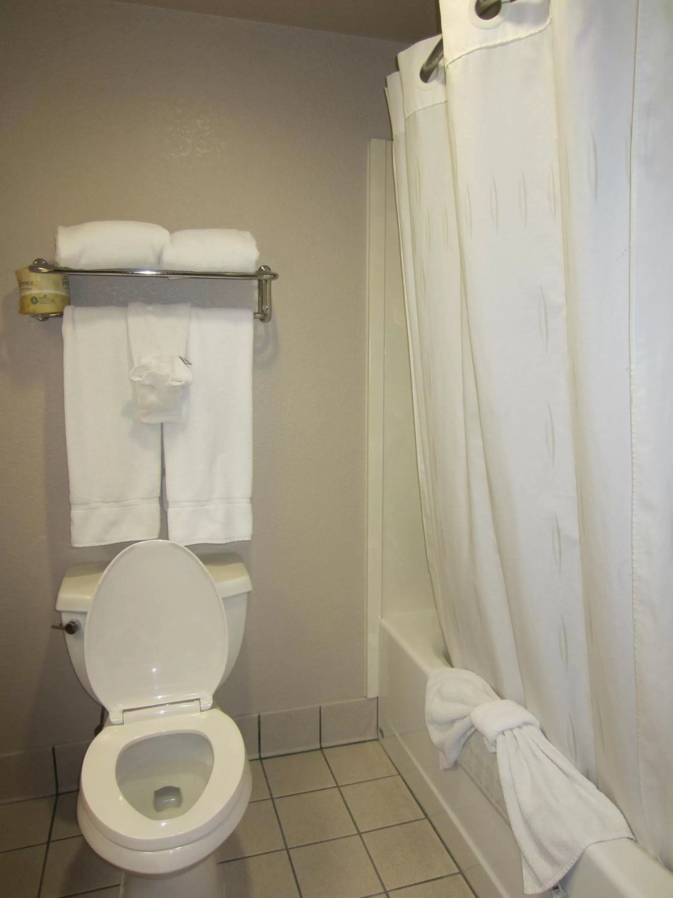 Bathroom in Holiday Inn Express Rocklin - Galleria Area by IHG
