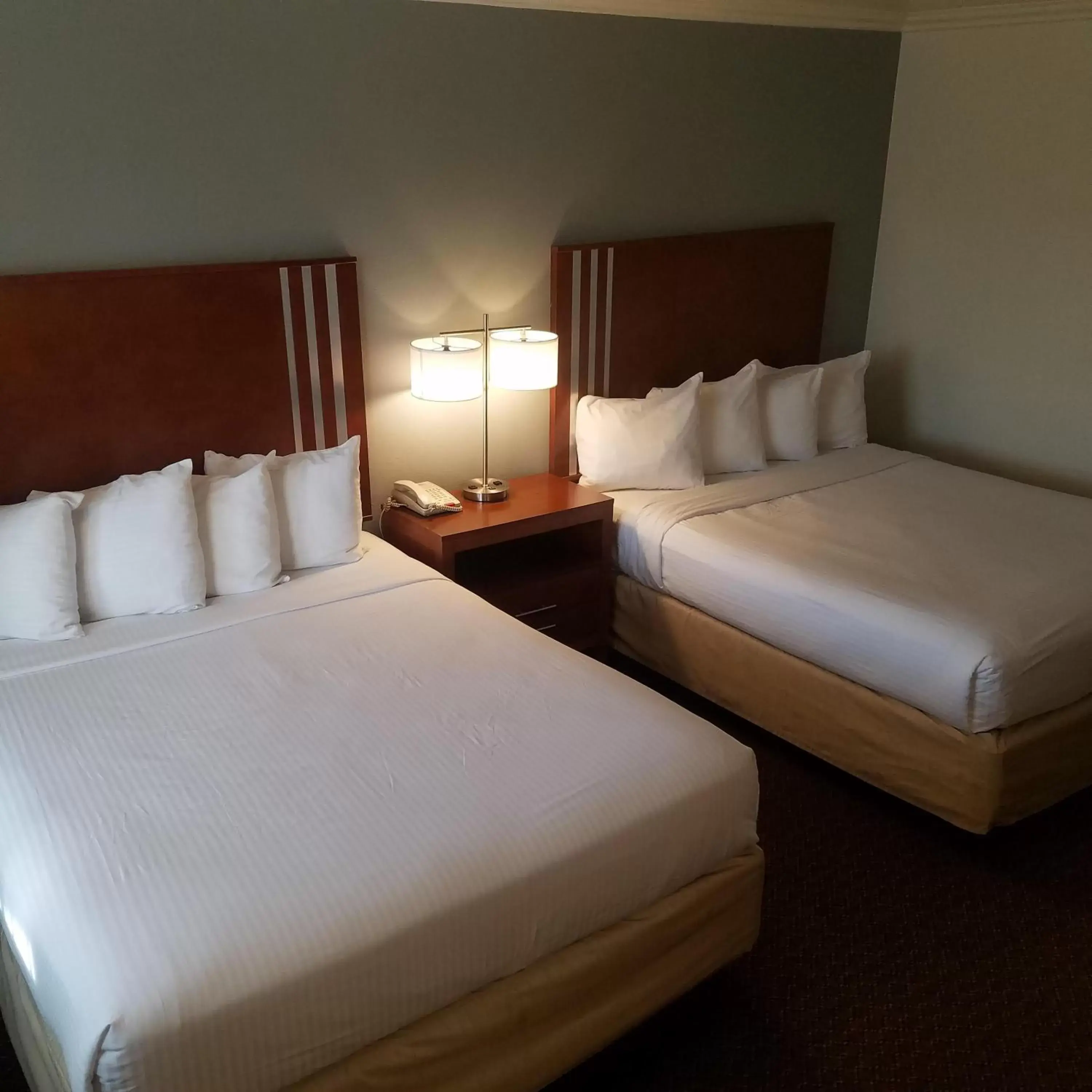 Queen Room with Two Queen Beds in SureStay Hotel by Best Western Hollister Queen Room with Two Queen Beds in SureStay Hotel by Best Western Hollister