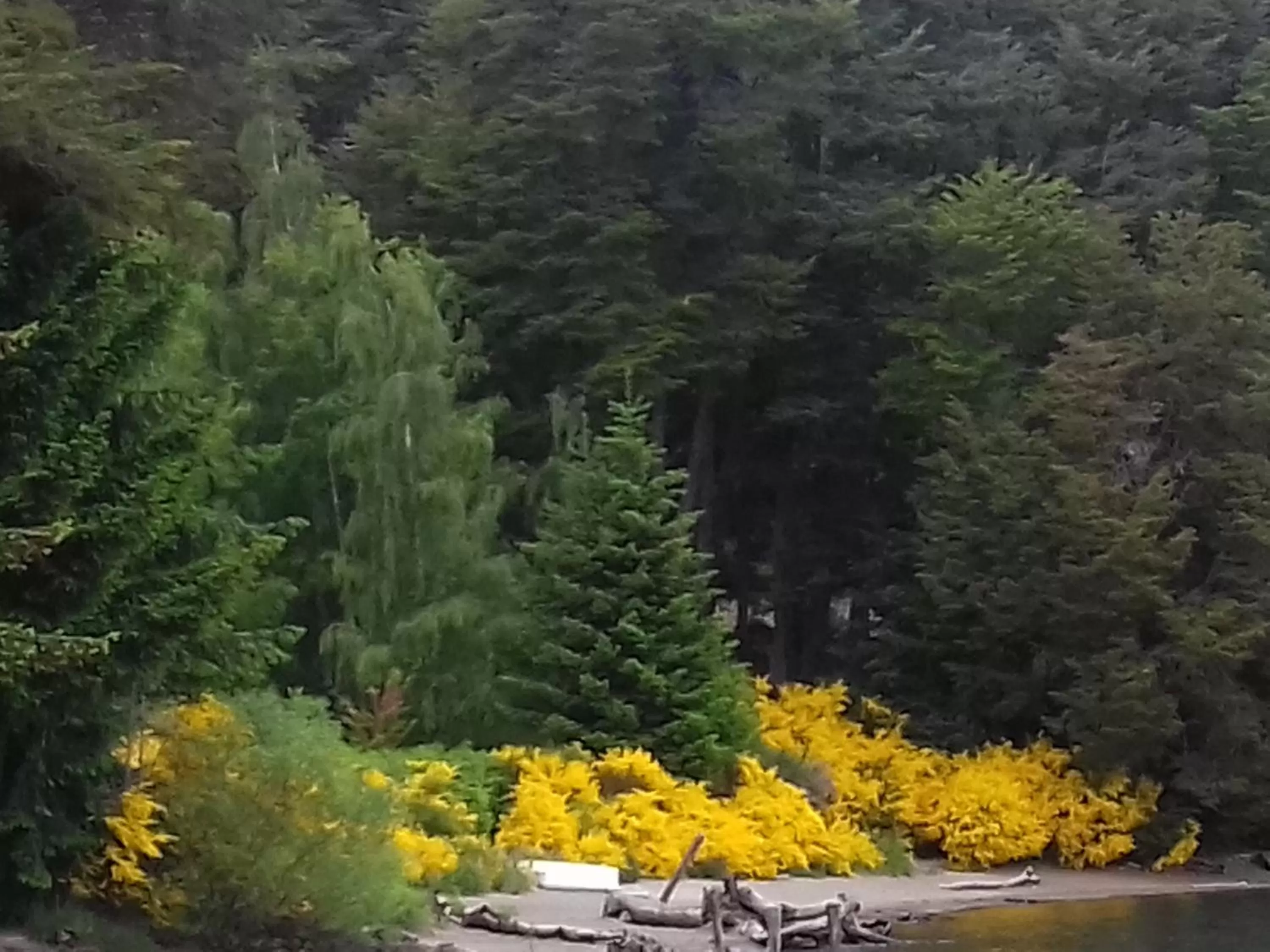 Beach in Hosteria Lekun Lekun