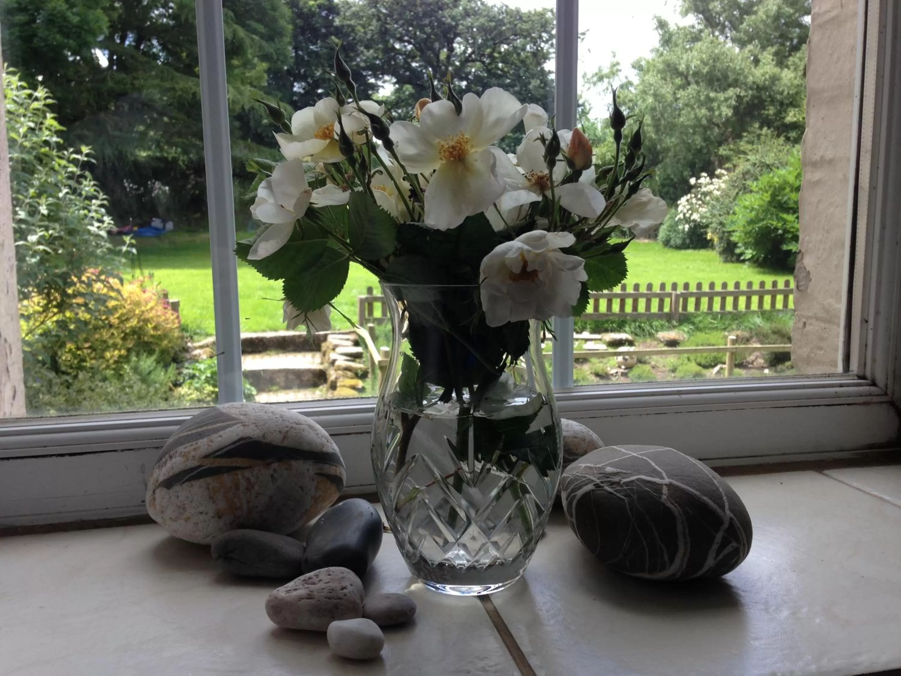Garden view in Lovaton Farmhouse