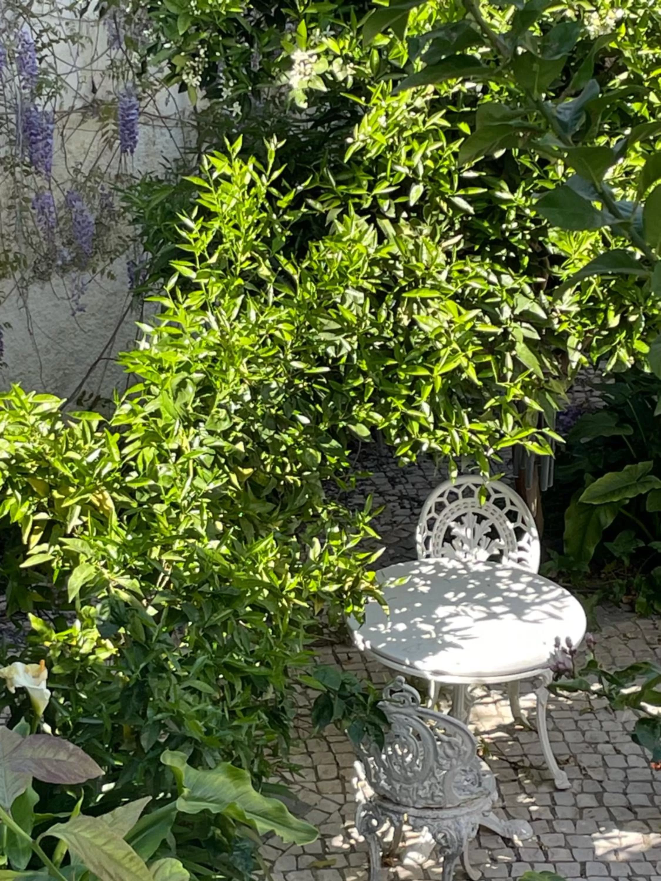 Restaurant/Places to Eat in Palacete Encanto Maior