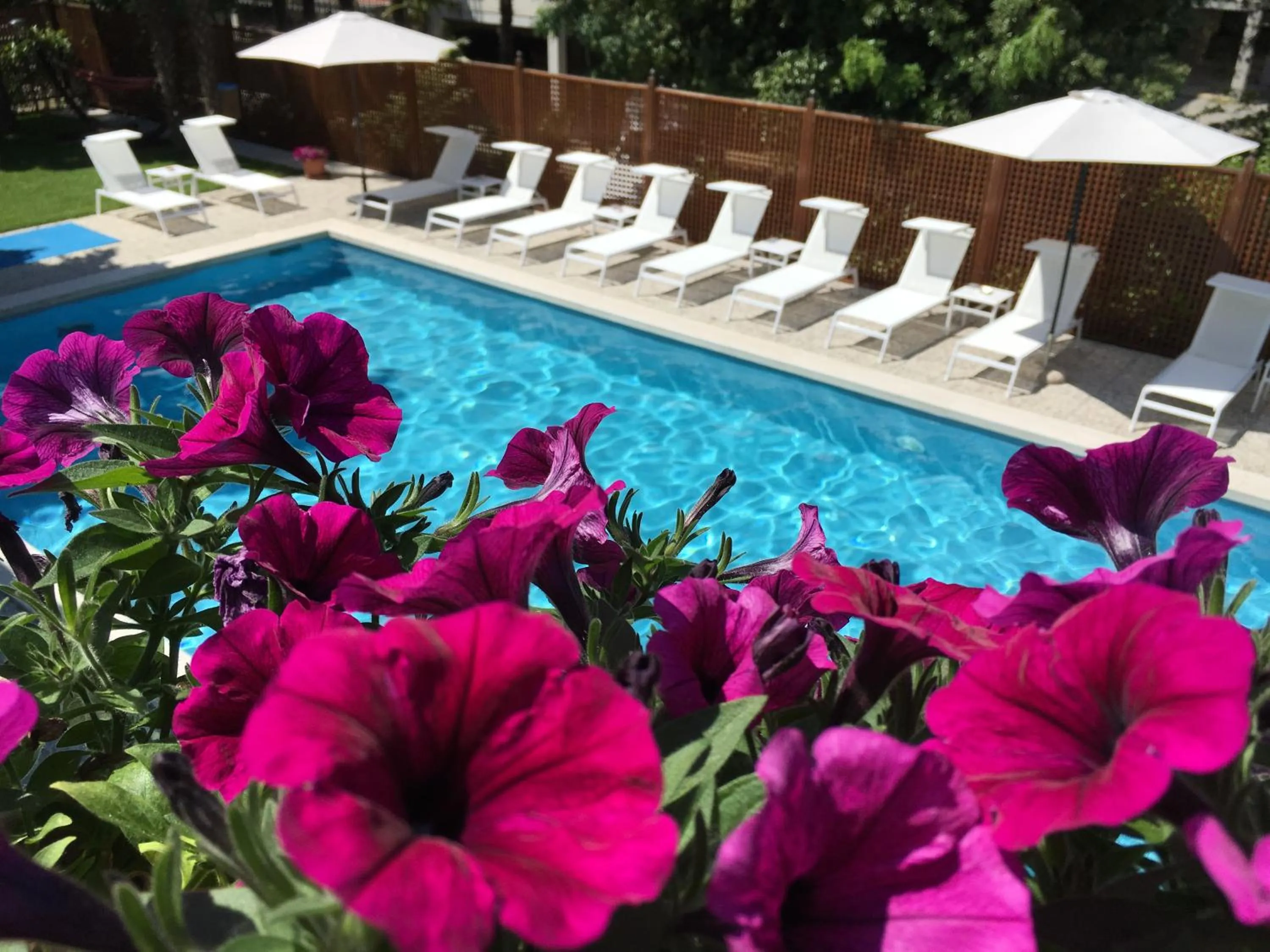  in Hotel Mar Del Plata