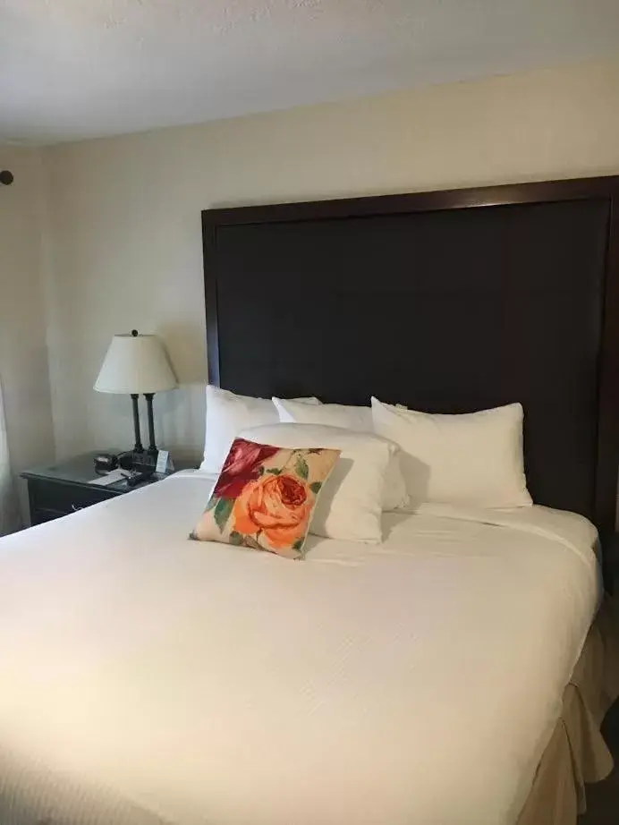 King Room in The Waldport Inn King Room in The Waldport Inn