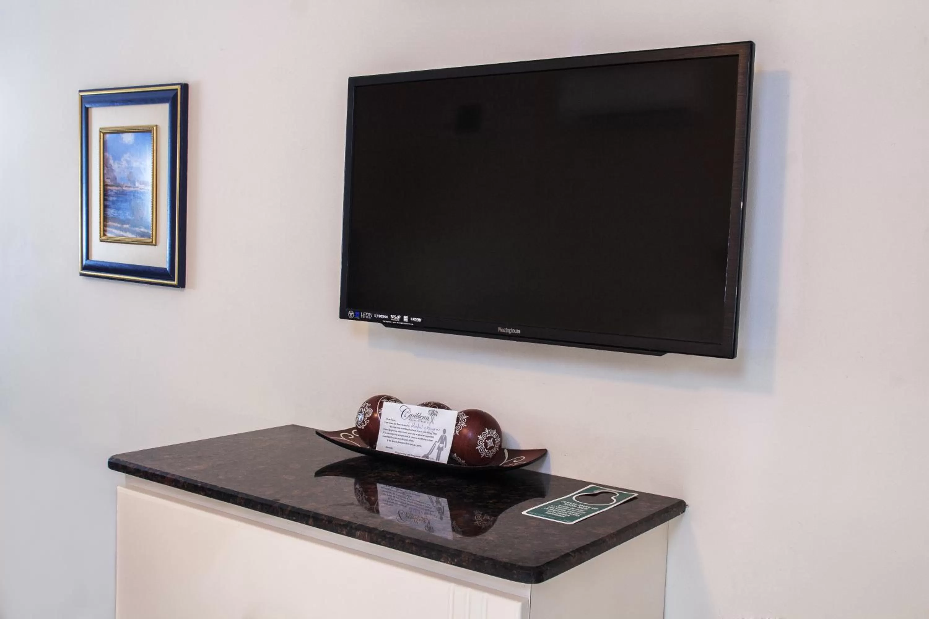 TV and multimedia in Caribbean Resort by the Ocean