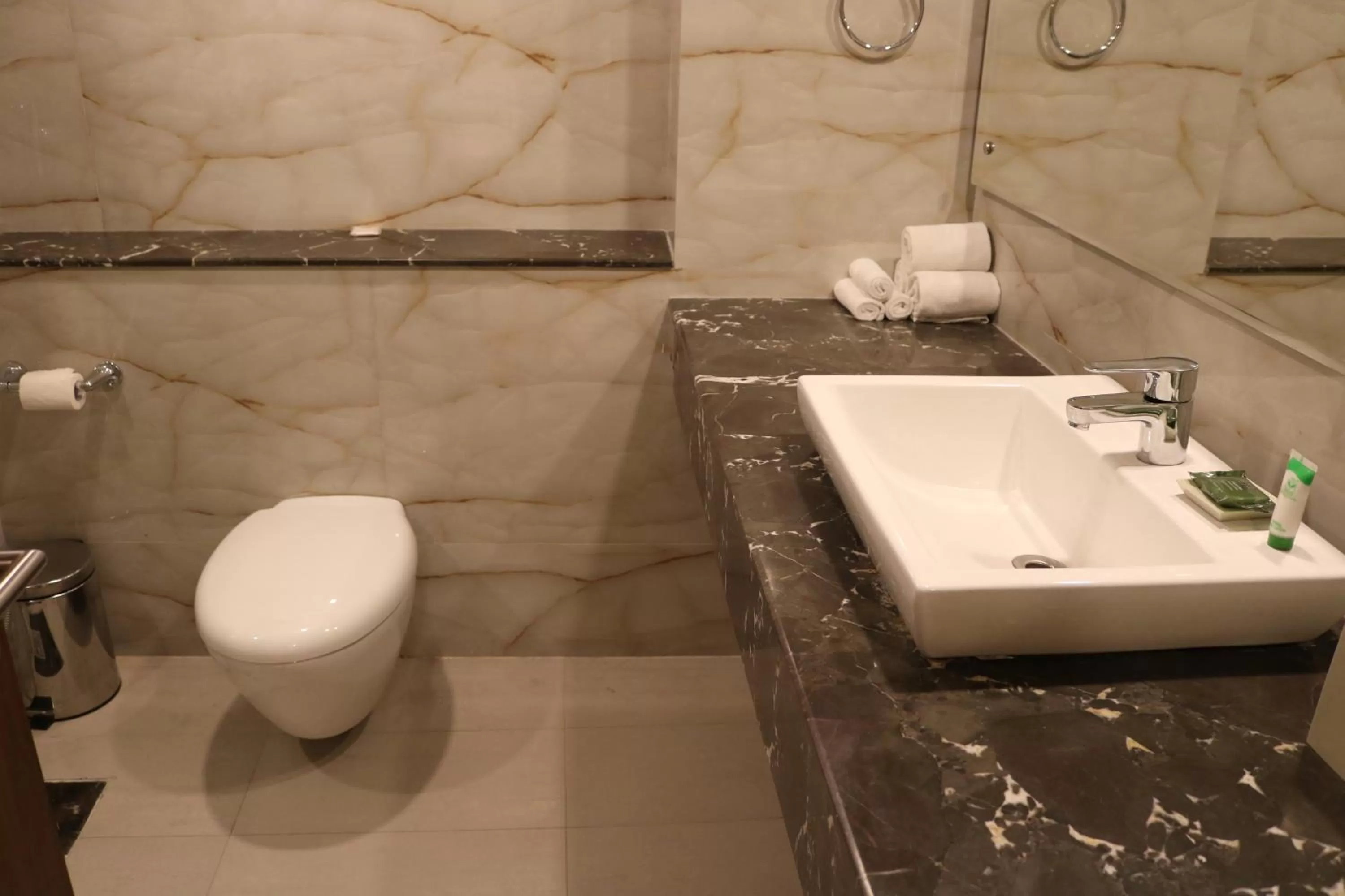 Bathroom in Radisson Srinagar