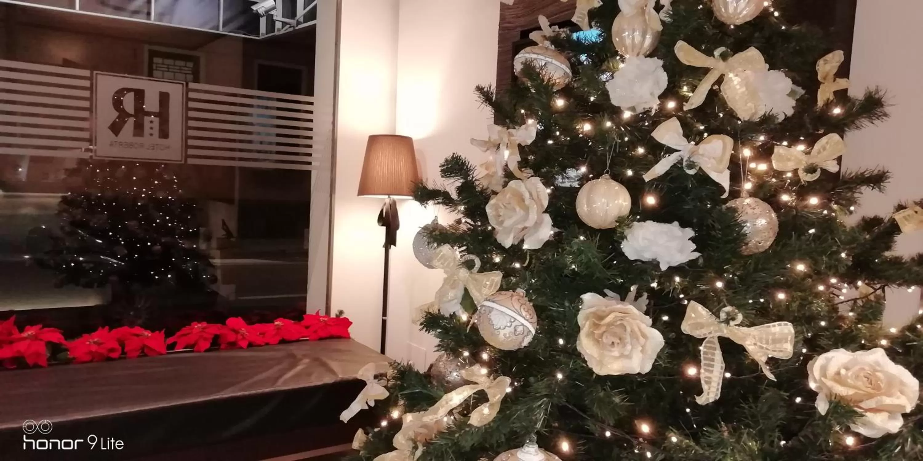 Facade/entrance in Hotel Roberta