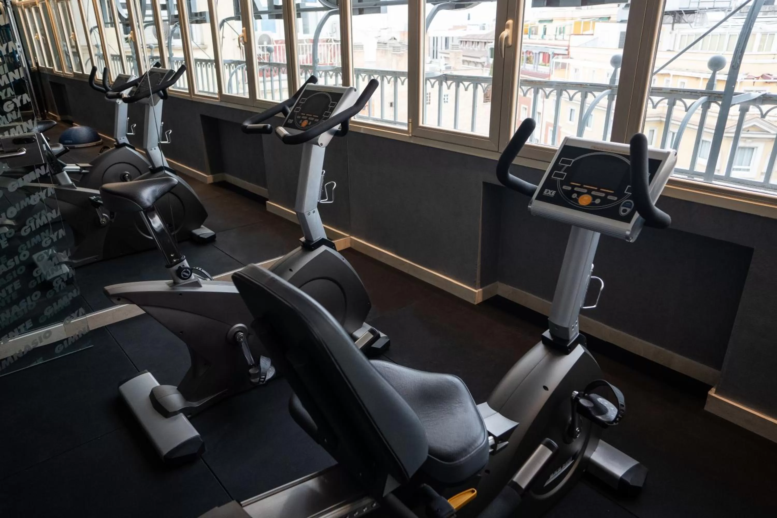 Fitness centre/facilities in Regente Hotel