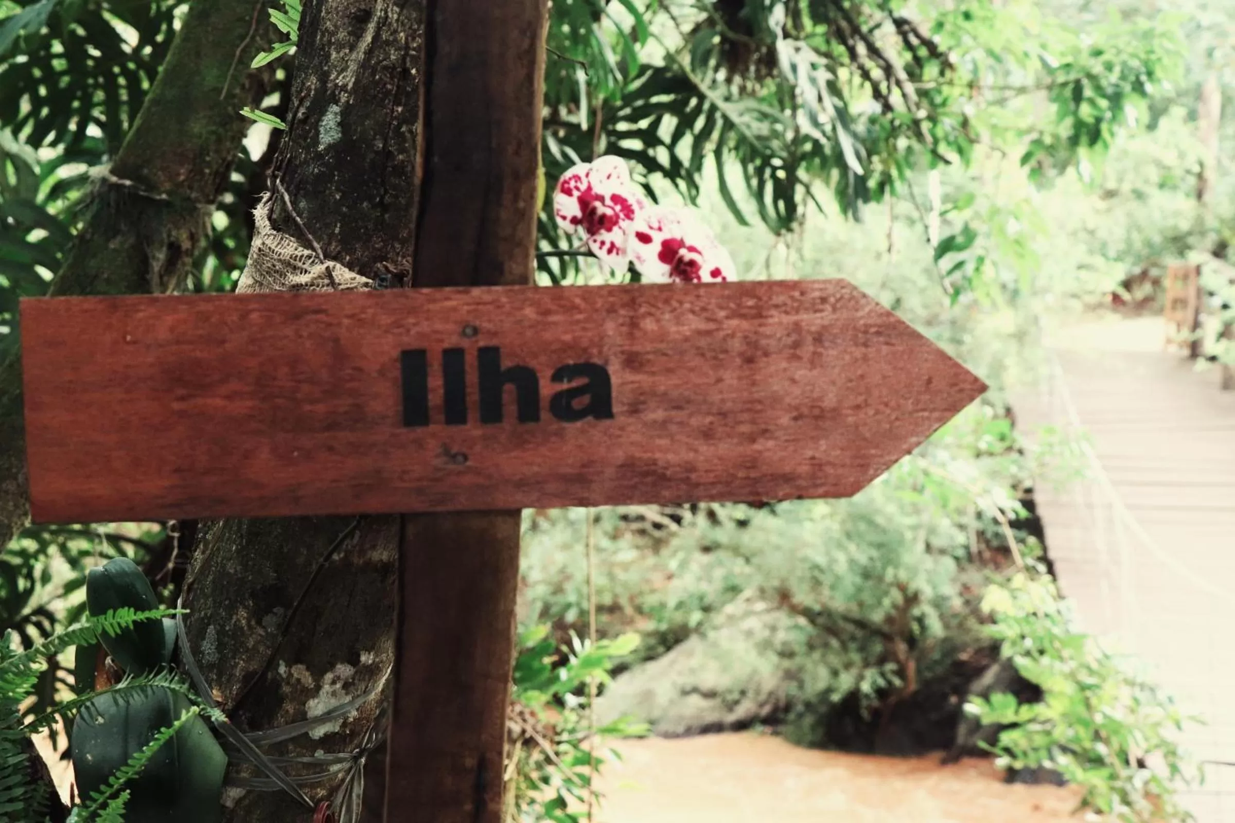 Hiking in Pousada Santa Thereza