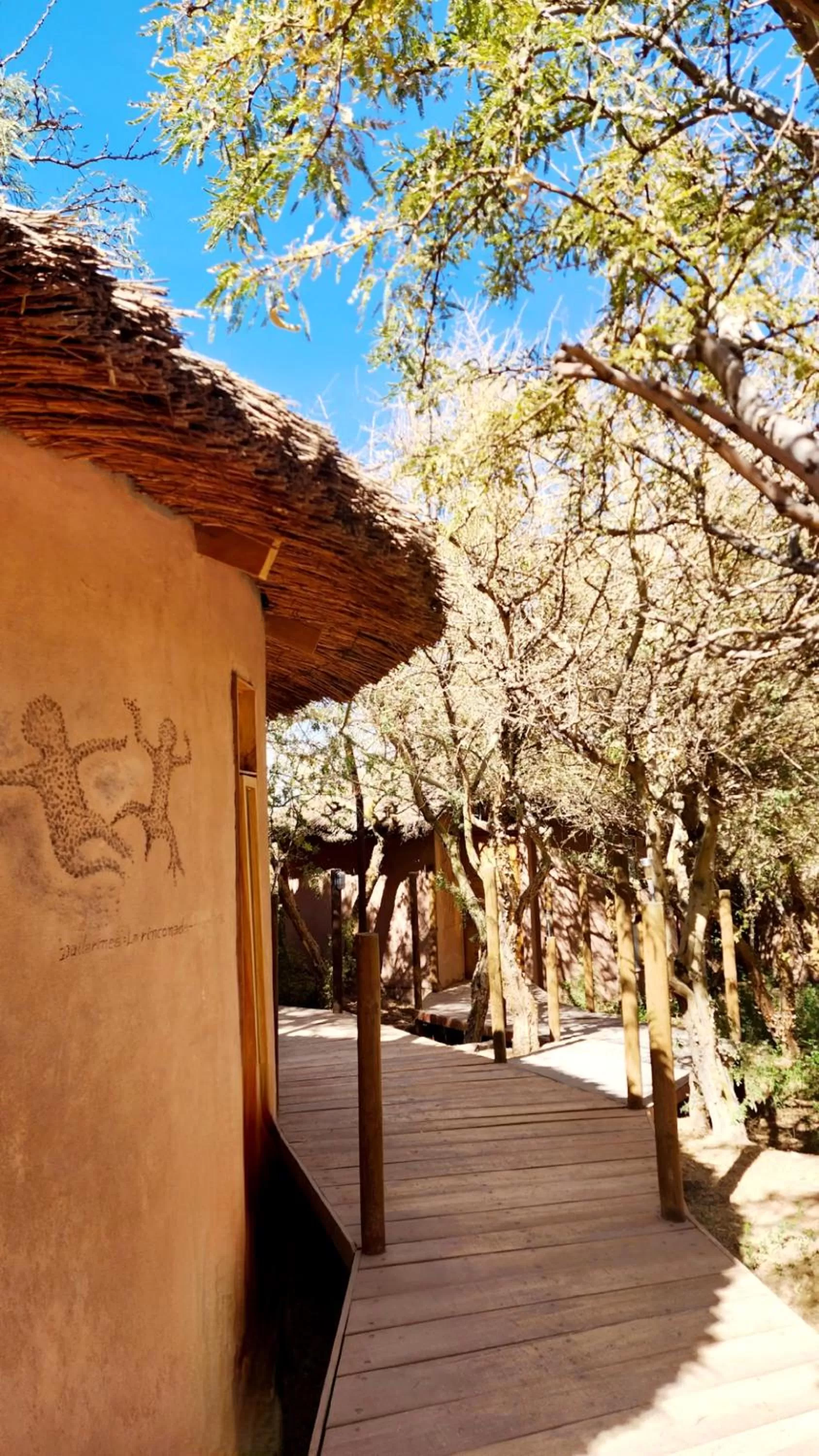 Garden in Hotel Tulor