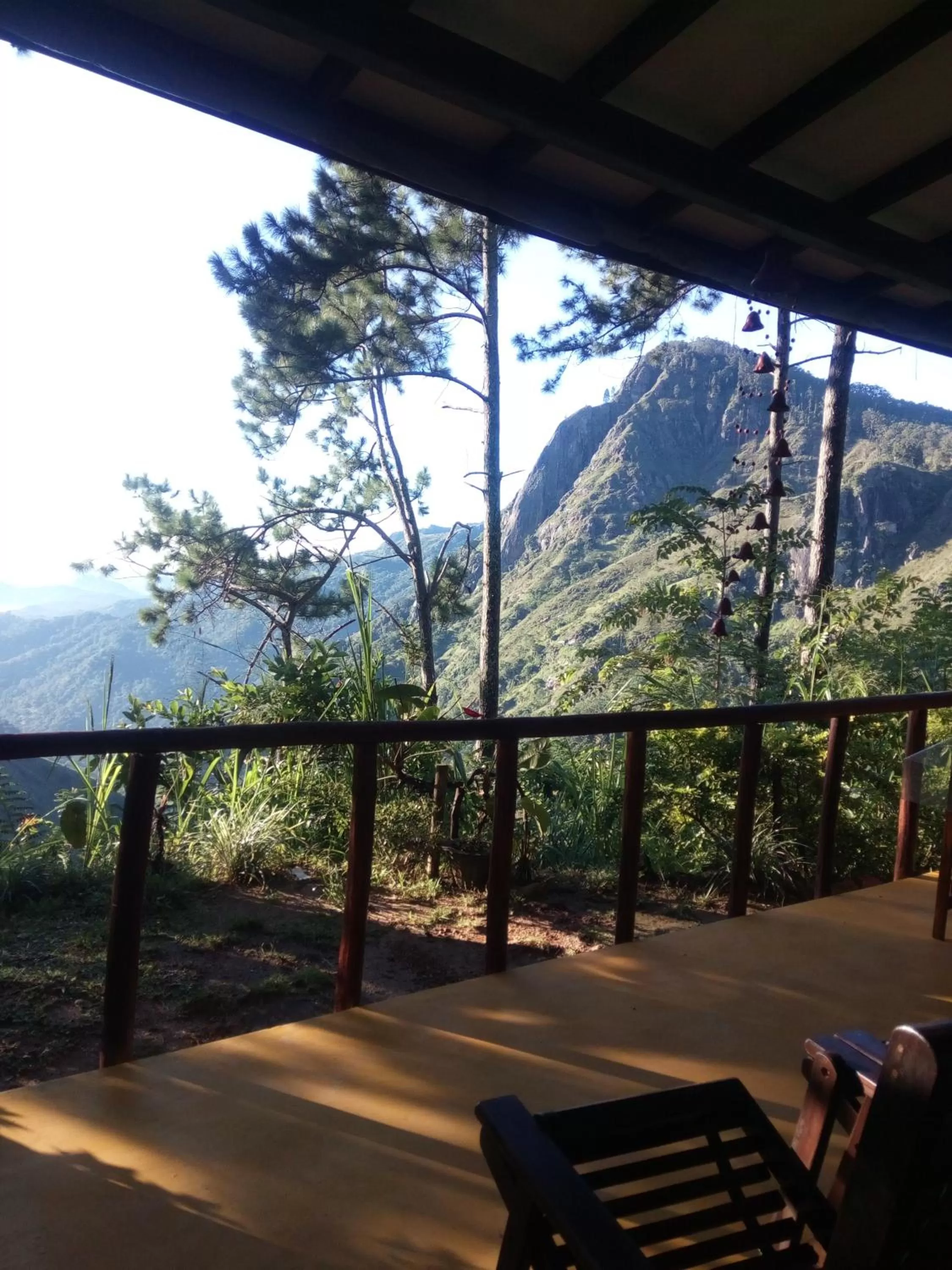 Mountain View in Dream view