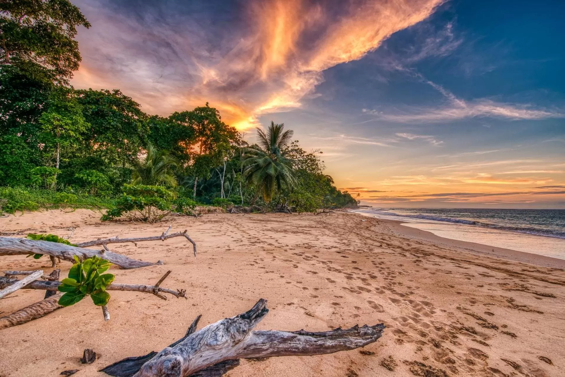 Natural landscape, Beach in Oasis Bluff Beach