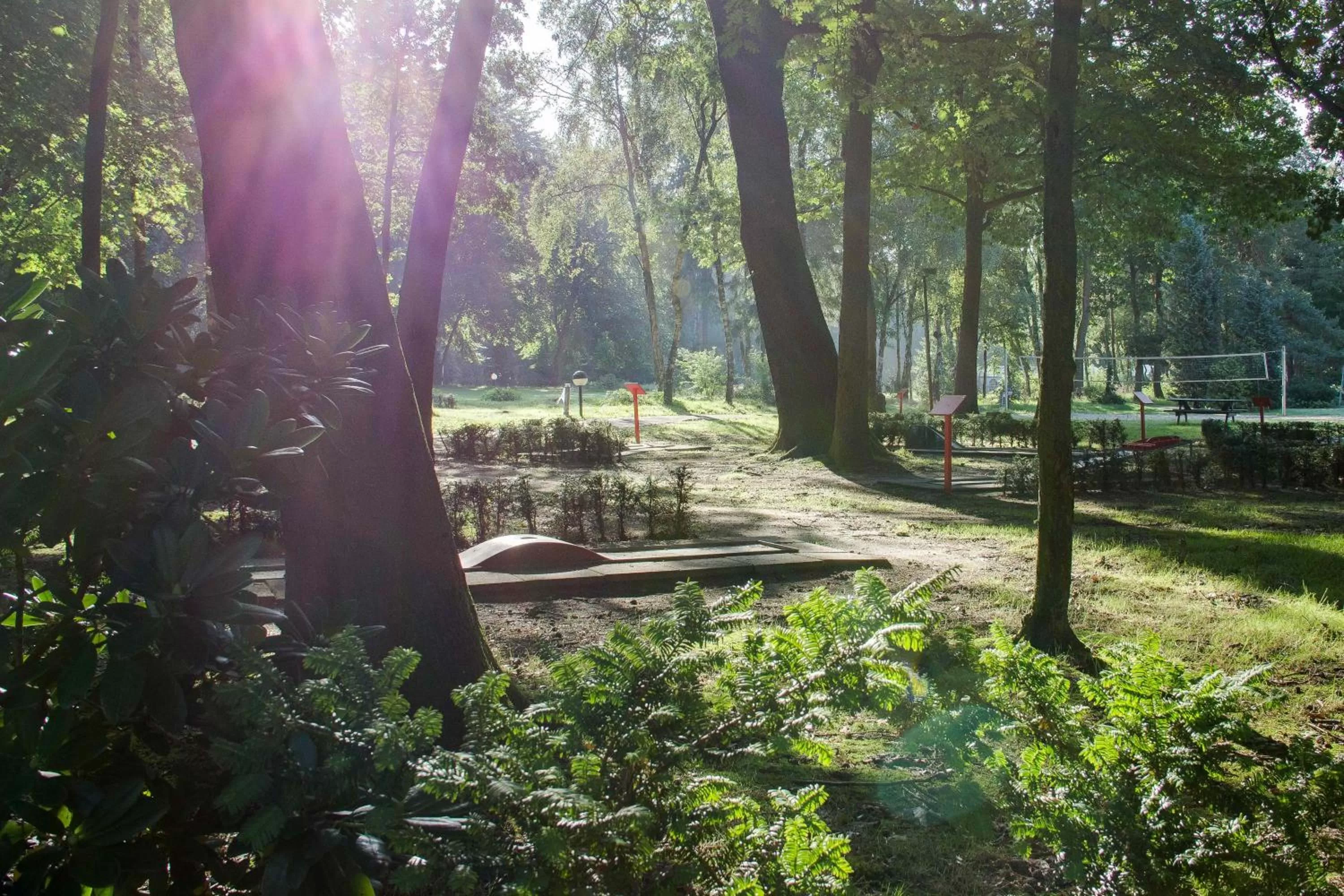 Garden in 50|50 Hotel Belmont