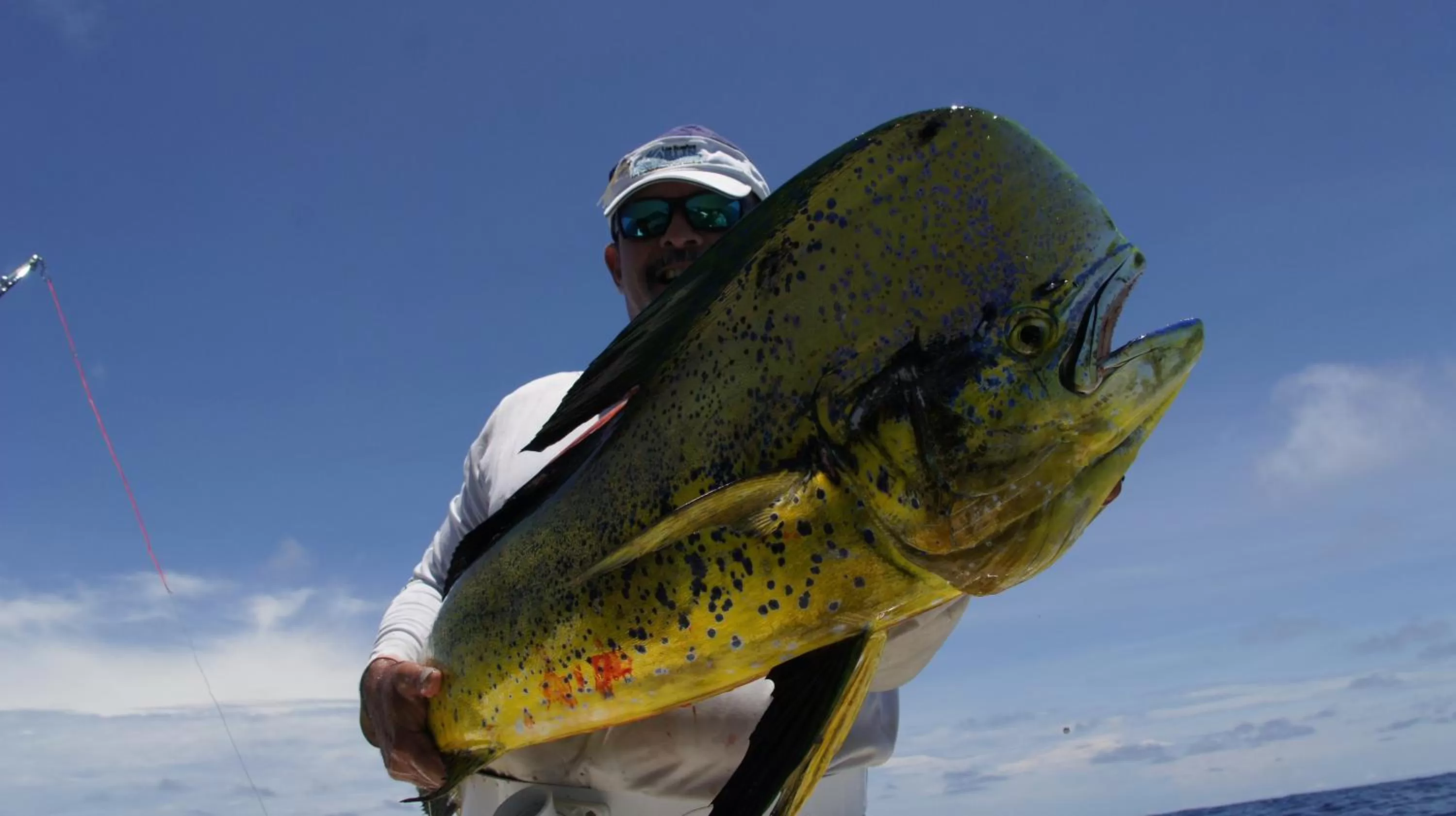 Fishing, Other Animals in Posada Turística Rocas De Cabo Marzo
