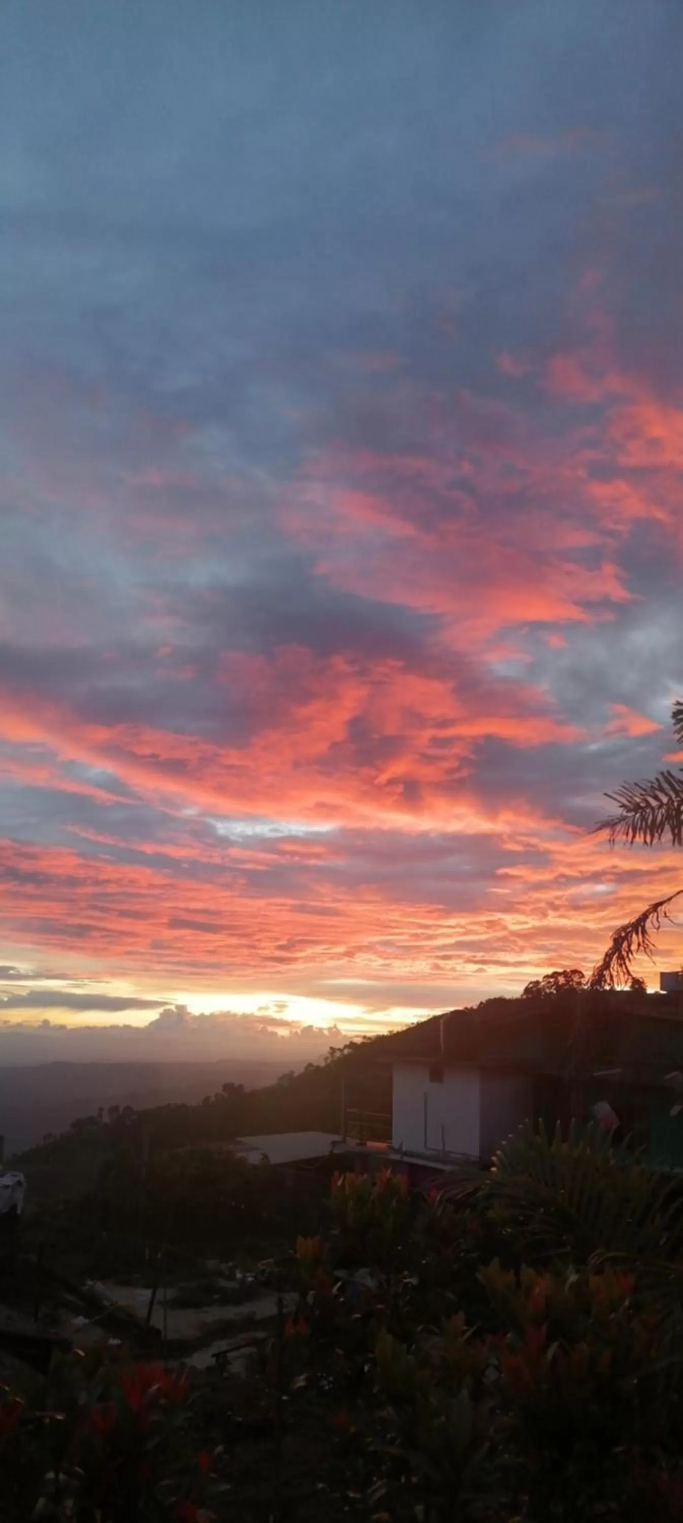 Natural landscape in Srilak View Holiday Inn