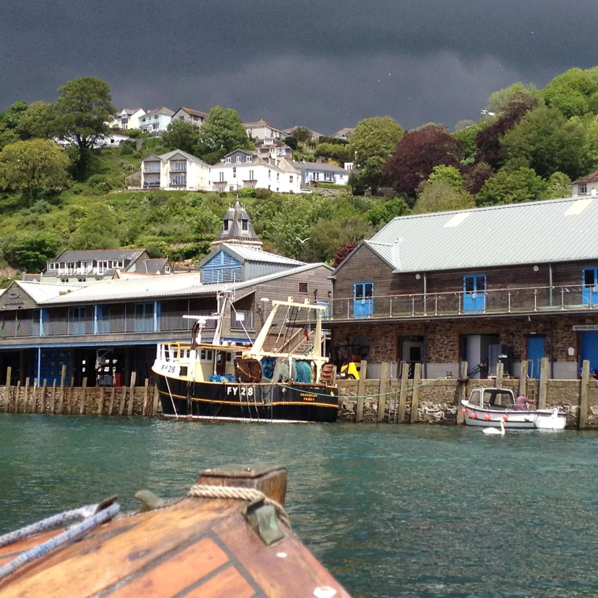 Natural landscape in Penwyn Bed and Breakfast