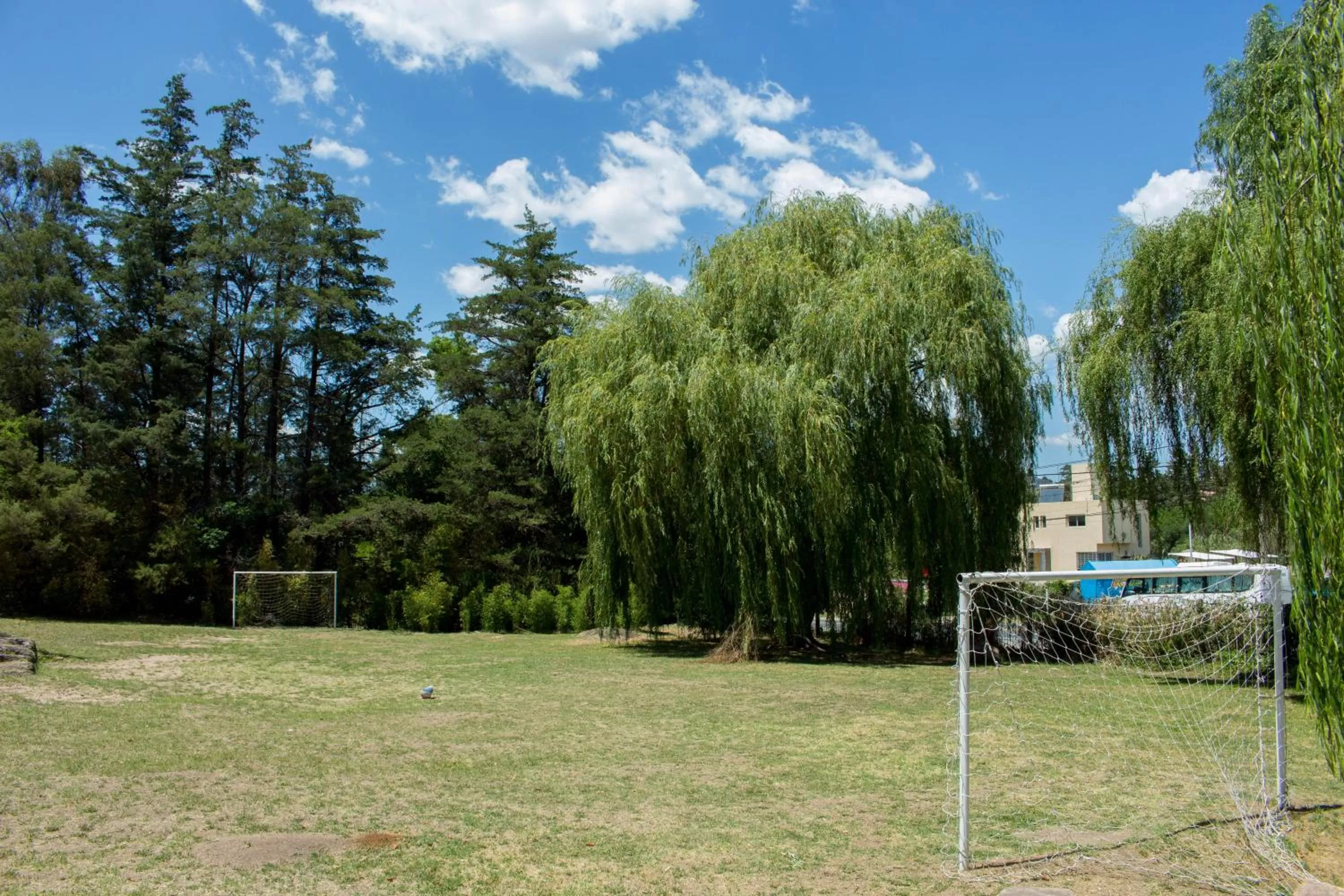 Natural landscape in Capri Hotel y Cabañas by CPH