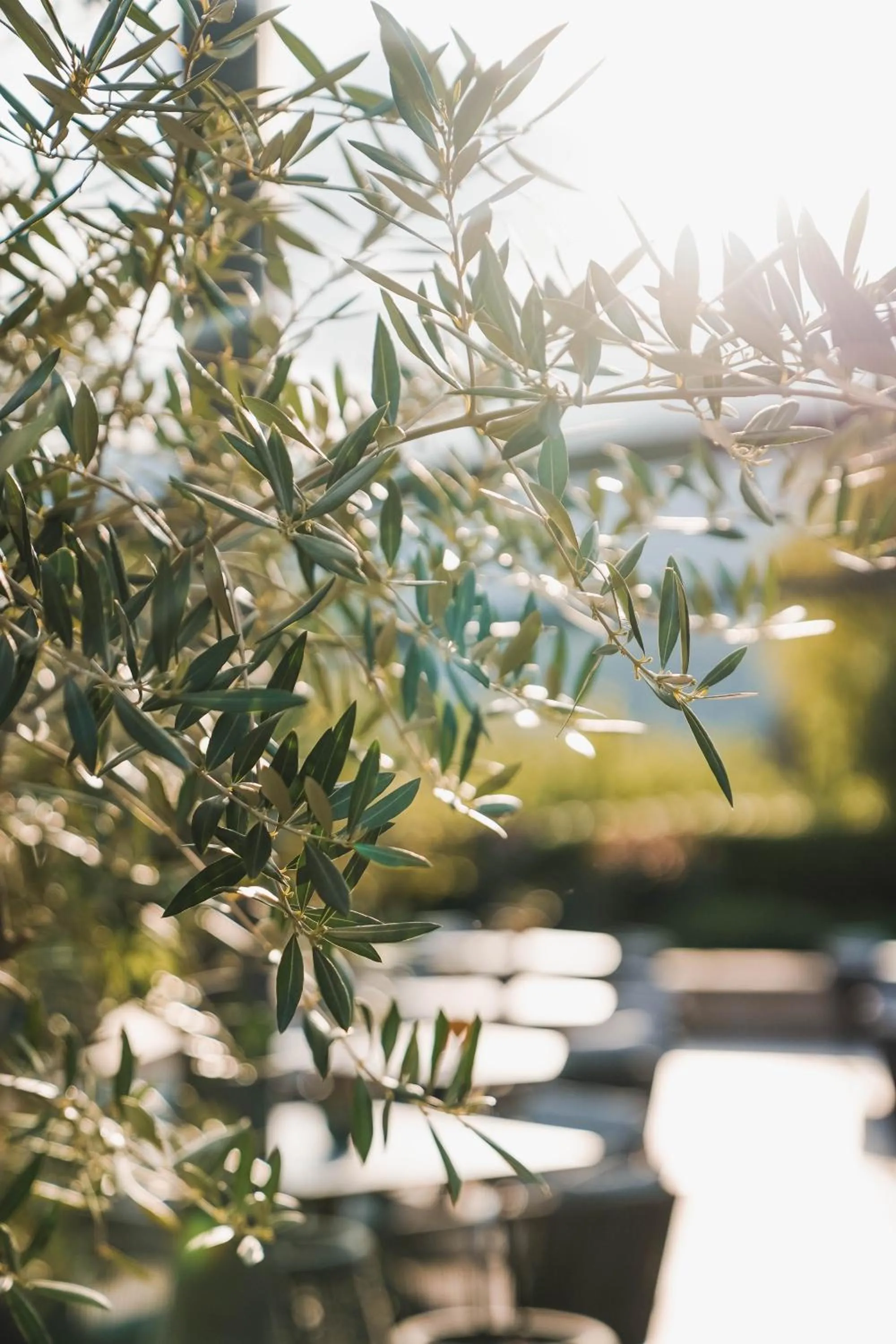 Restaurant/places to eat in Hotel Das Dorner