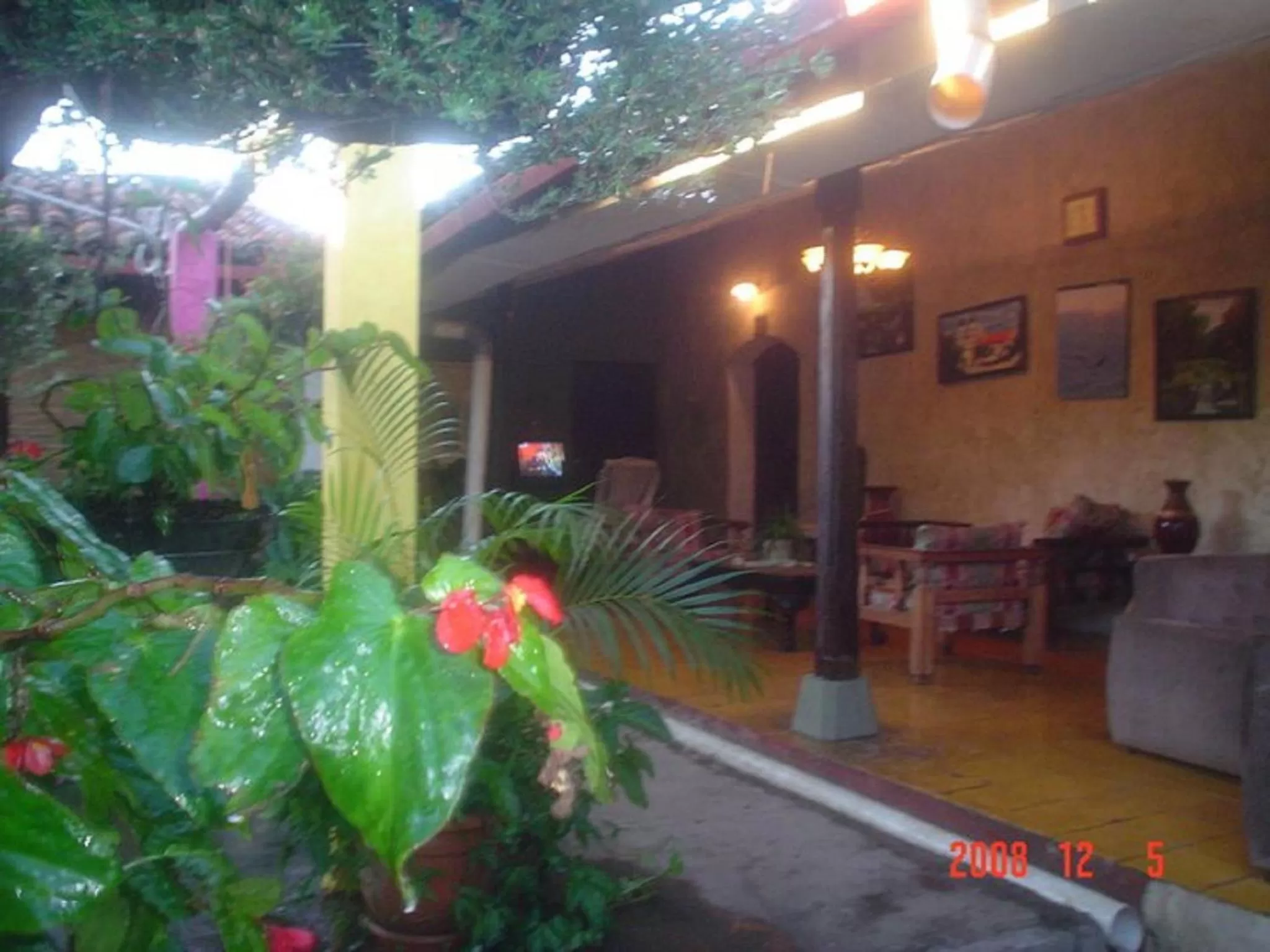 Patio in Hotel Caleta