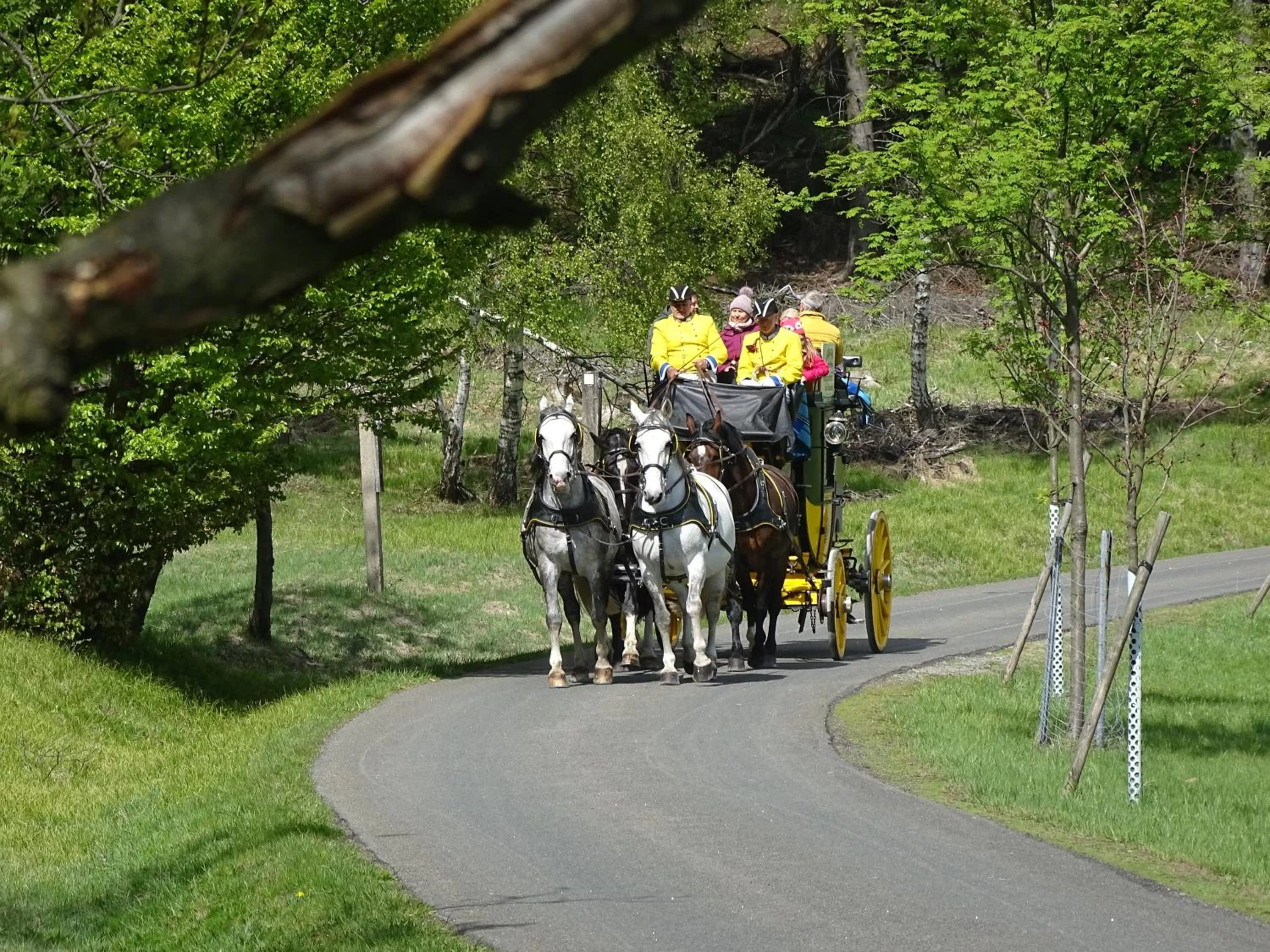 Pets in Waldgasthof Bad Einsiedel