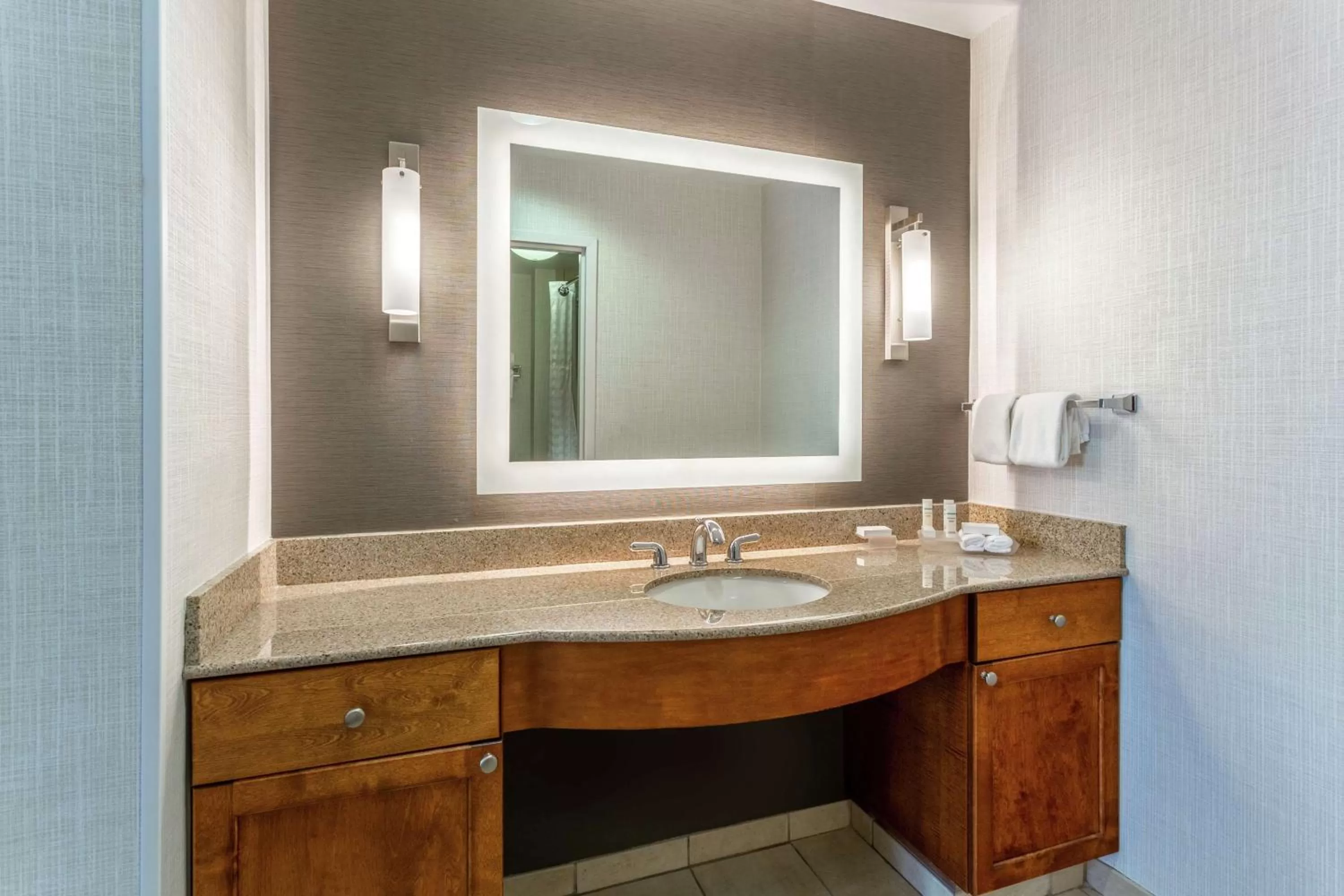 Bathroom in Homewood Suites by Hilton Albany