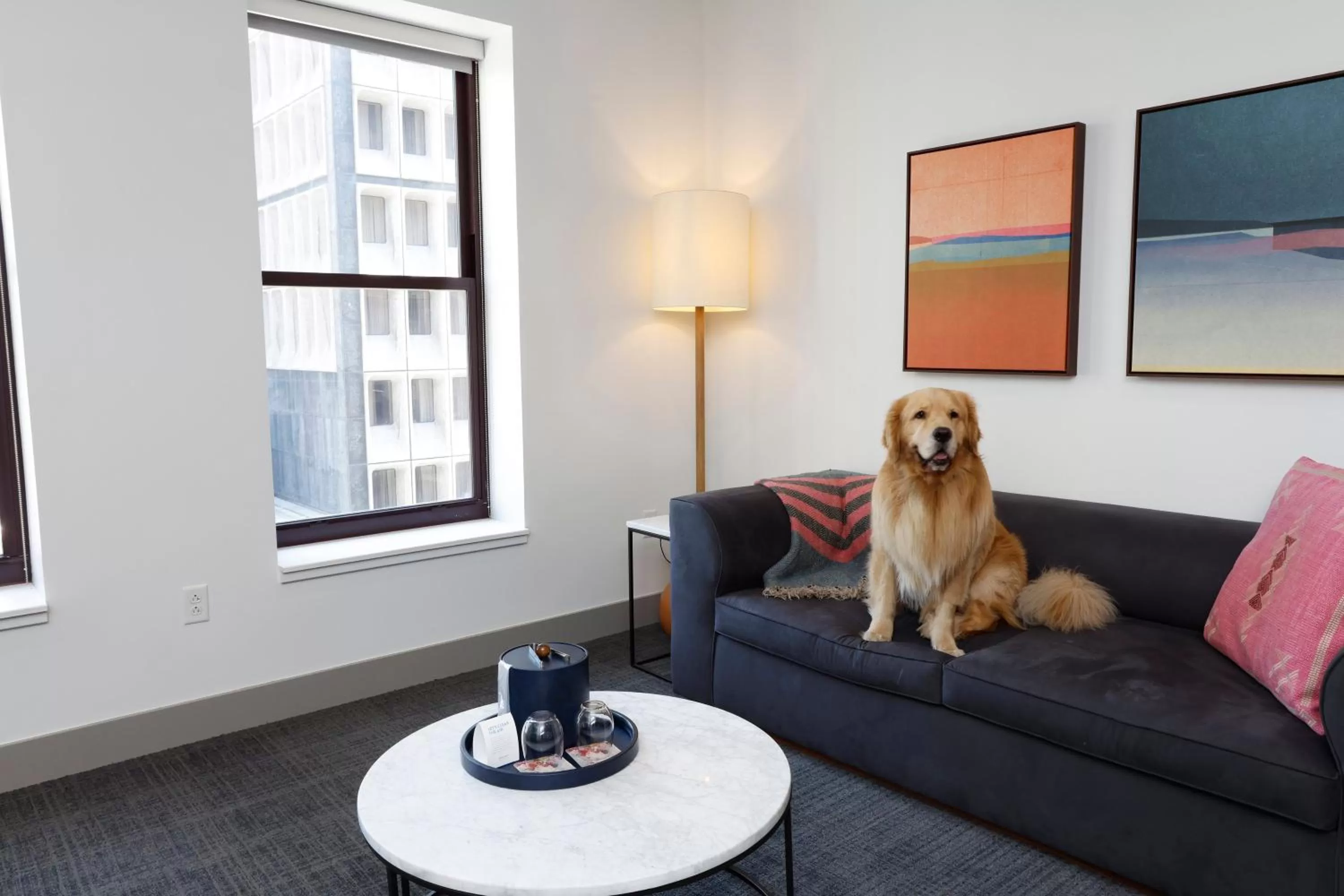 Photo of the whole room in Kimpton Schofield Hotel by IHG