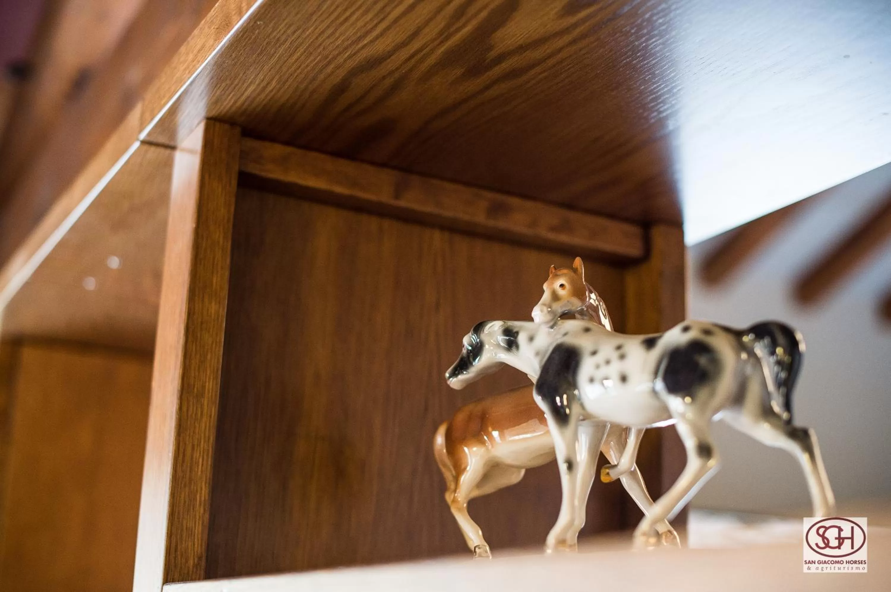 Decorative detail in San Giacomo Horses & Agriturismo