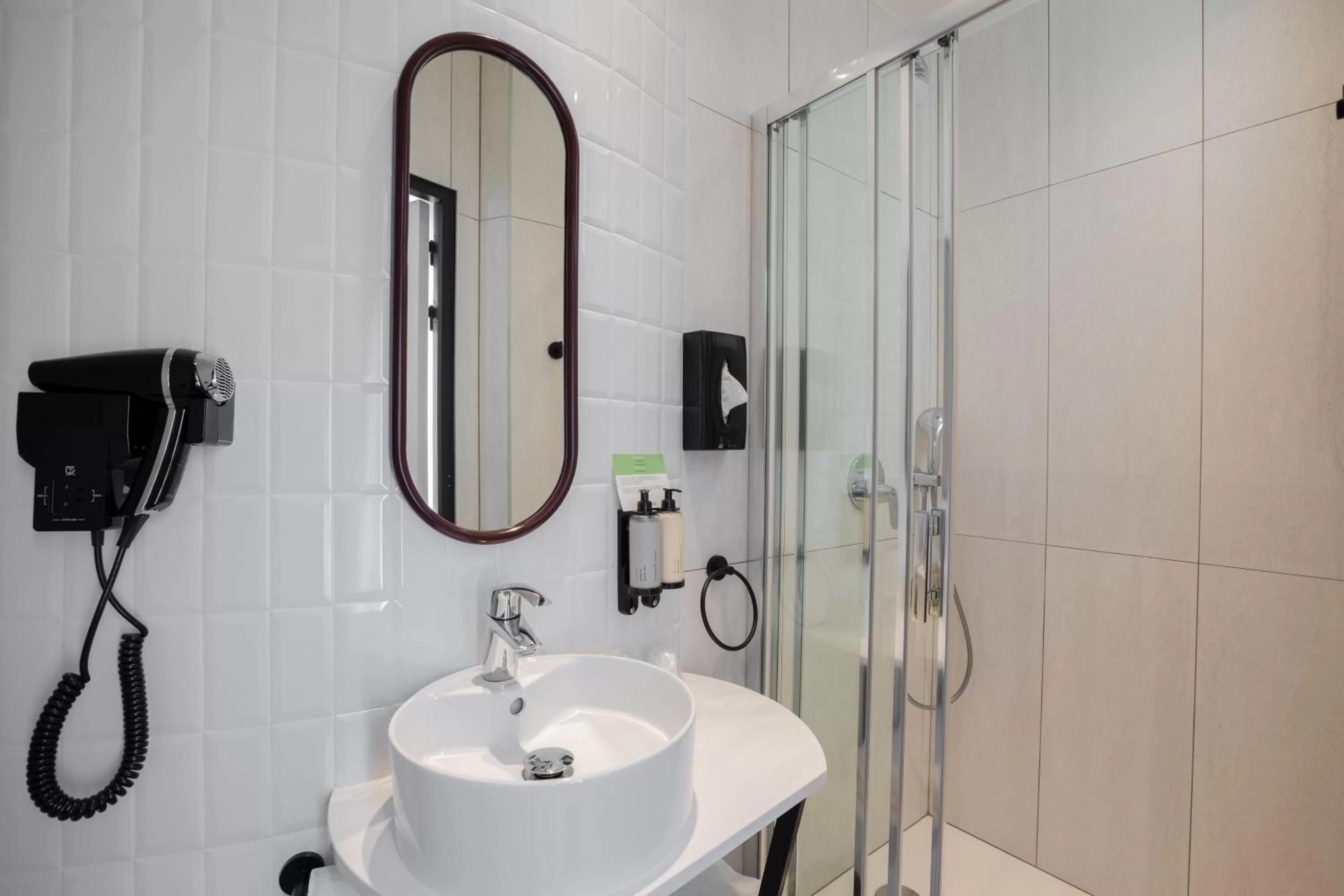 Shower in Hôtel Prince Albert Gare de Lyon