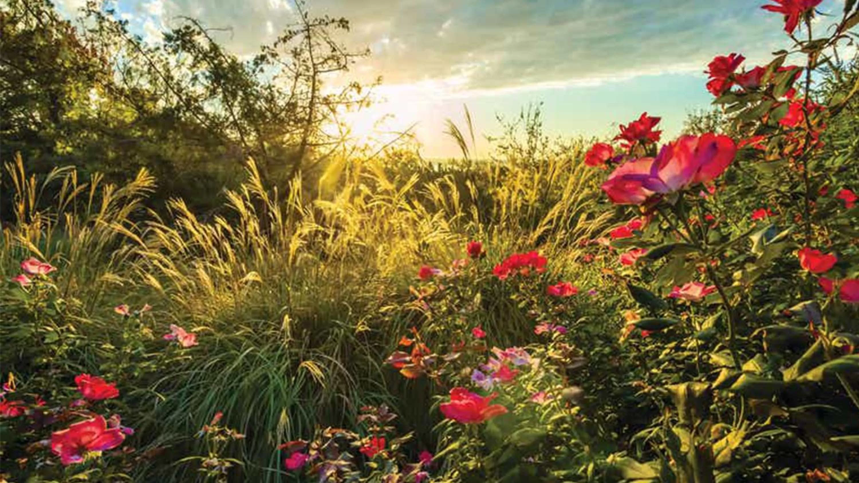 Nearby landmark in Holiday Inn Club Vacations Villages Resort at Lake Palestine