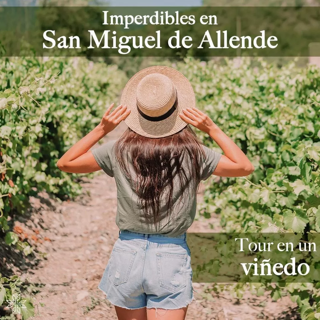 Text overlay in Cantera 1910 Hotel Boutique, Destination Hotel