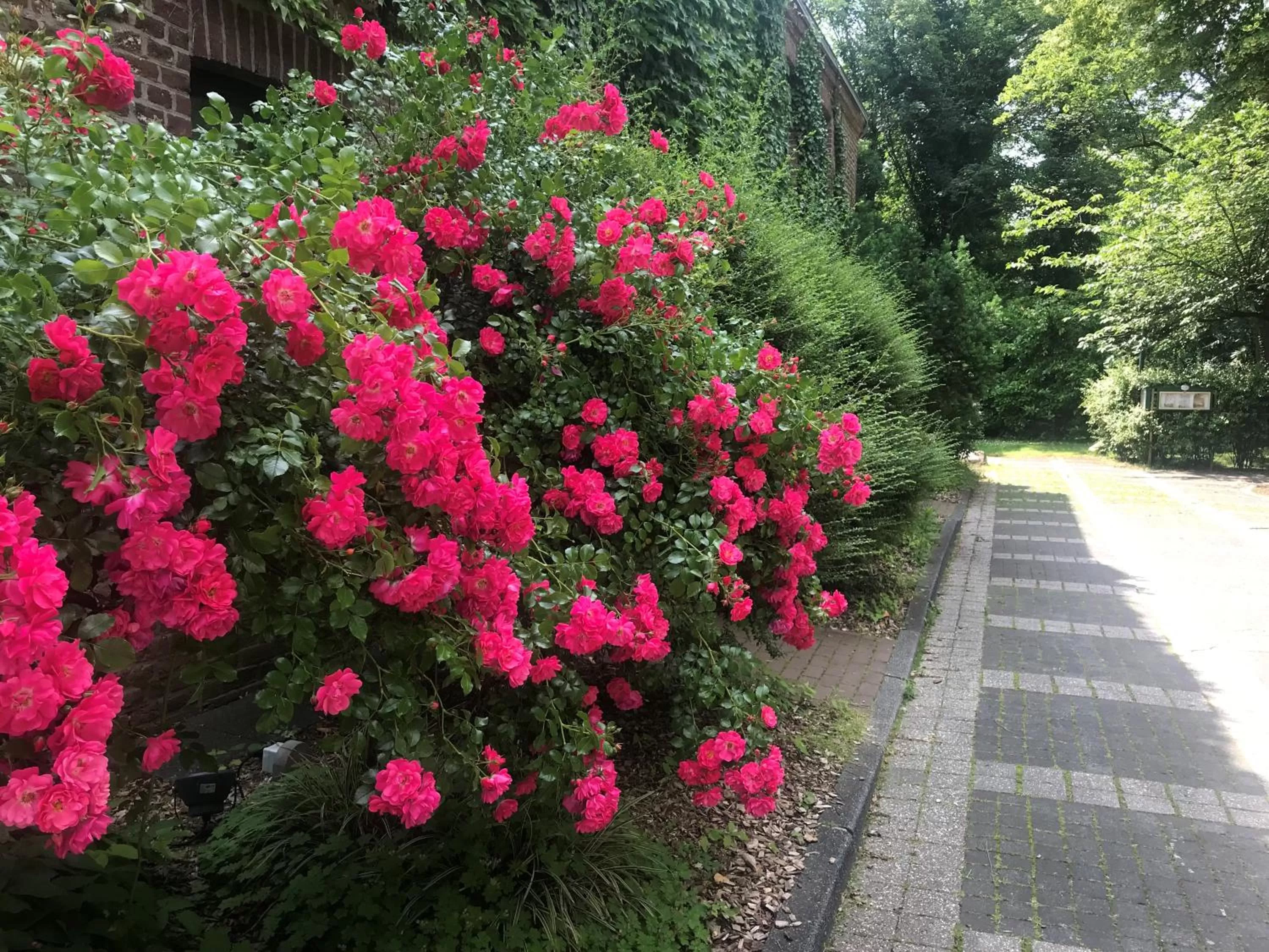 Facade/entrance in Burg Wegberg Hotel & Eventlocation