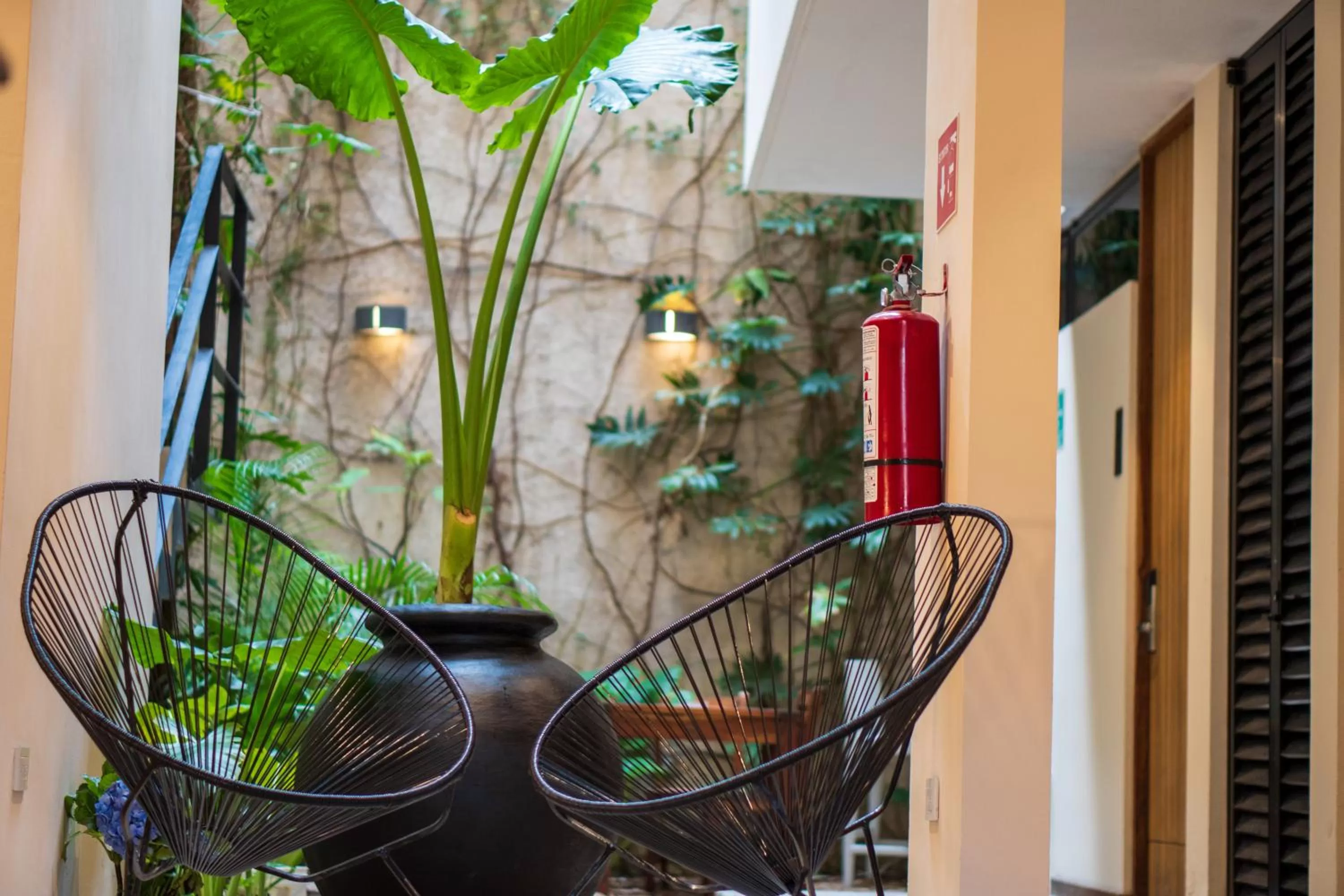 Garden in Una Luna Tulum