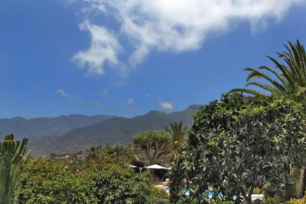 Mountain view in Jardin de Aridane