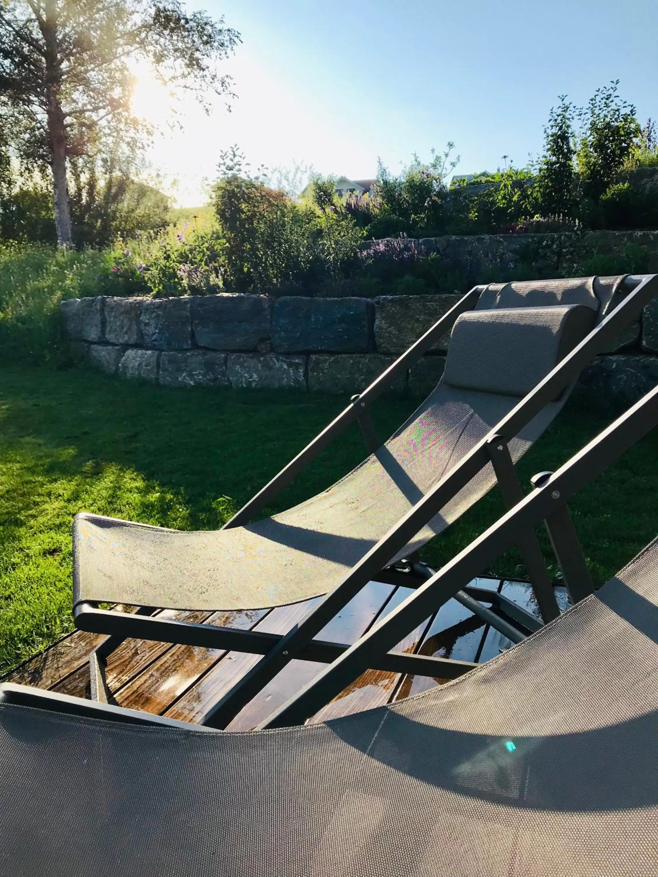 Garden in Alpenloge Hotel