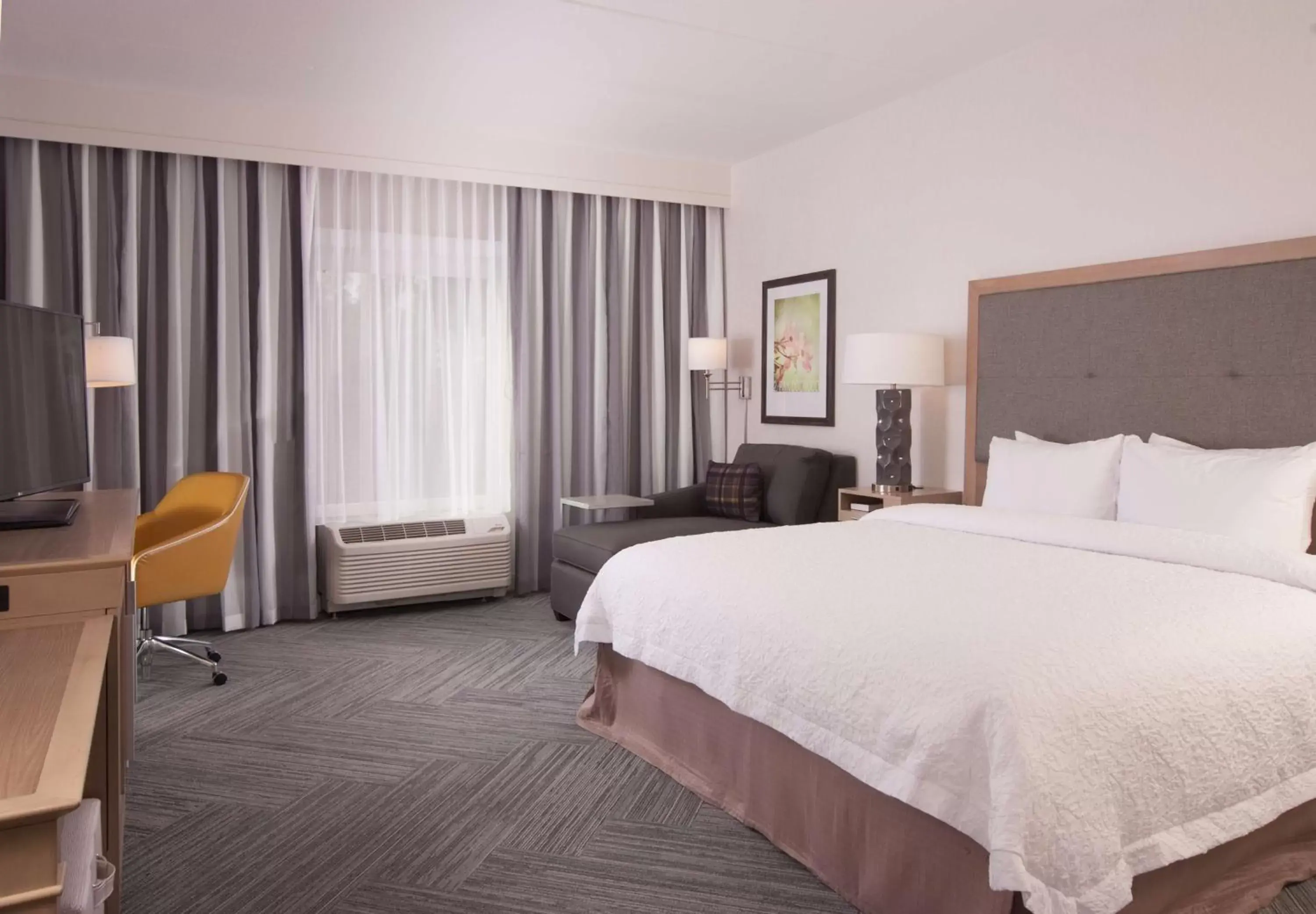 King Room - Mobility/Hearing Accessible - Non-Smoking in Hampton Inn & Suites by Hilton Augusta-Washington Rd King Room - Mobility/Hearing Accessible - Non-Smoking in Hampton Inn & Suites by Hilton Augusta-Washington Rd
