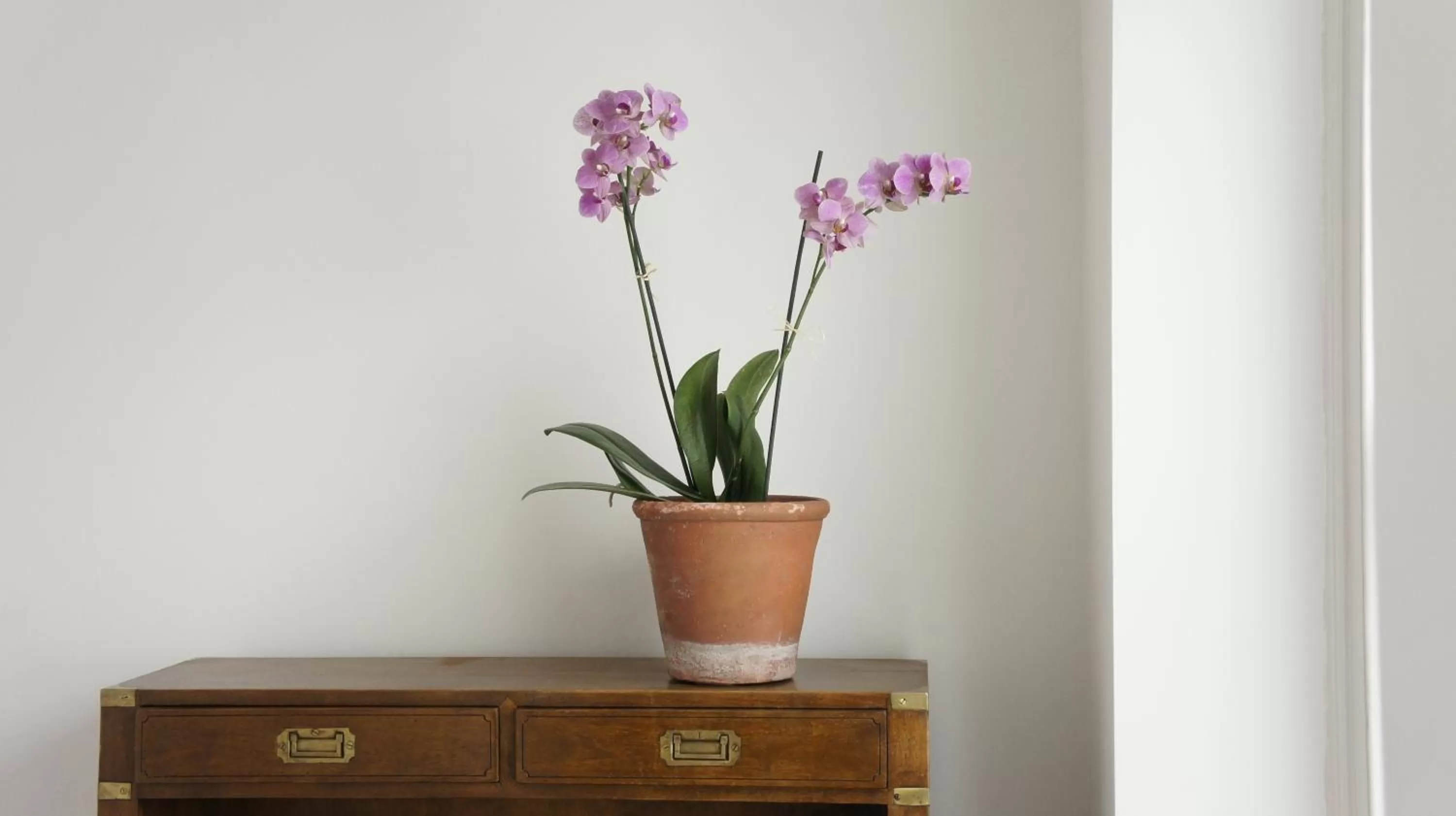 Other in Abergavenny Hotel