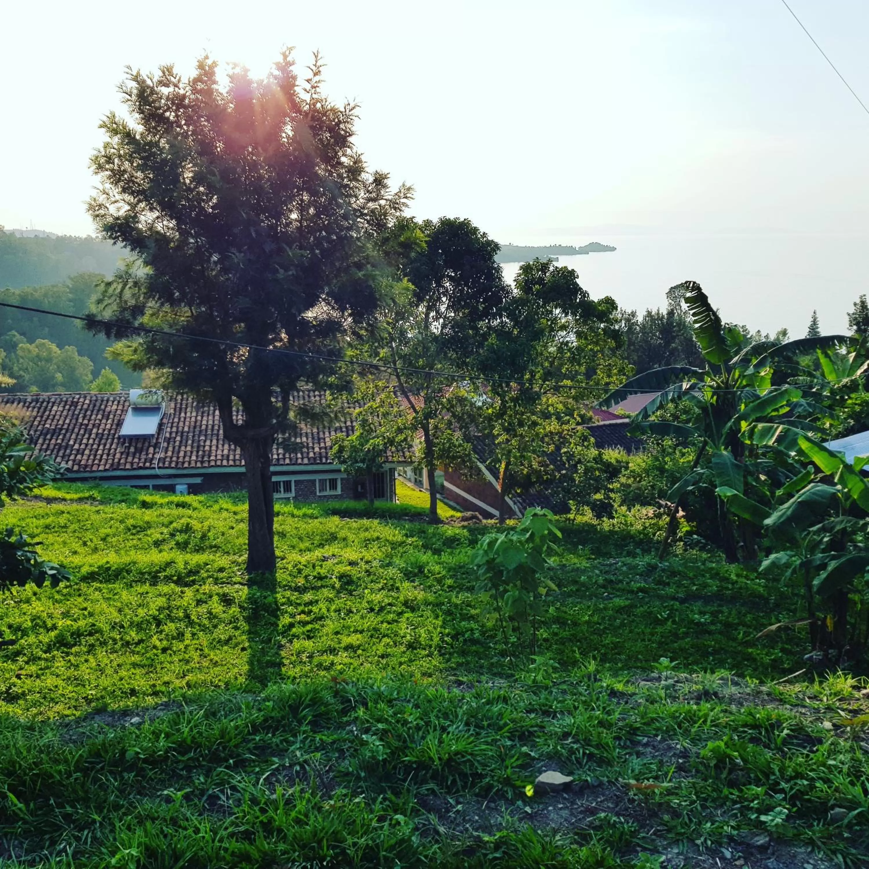 Garden view in Rebero Kivu Resort