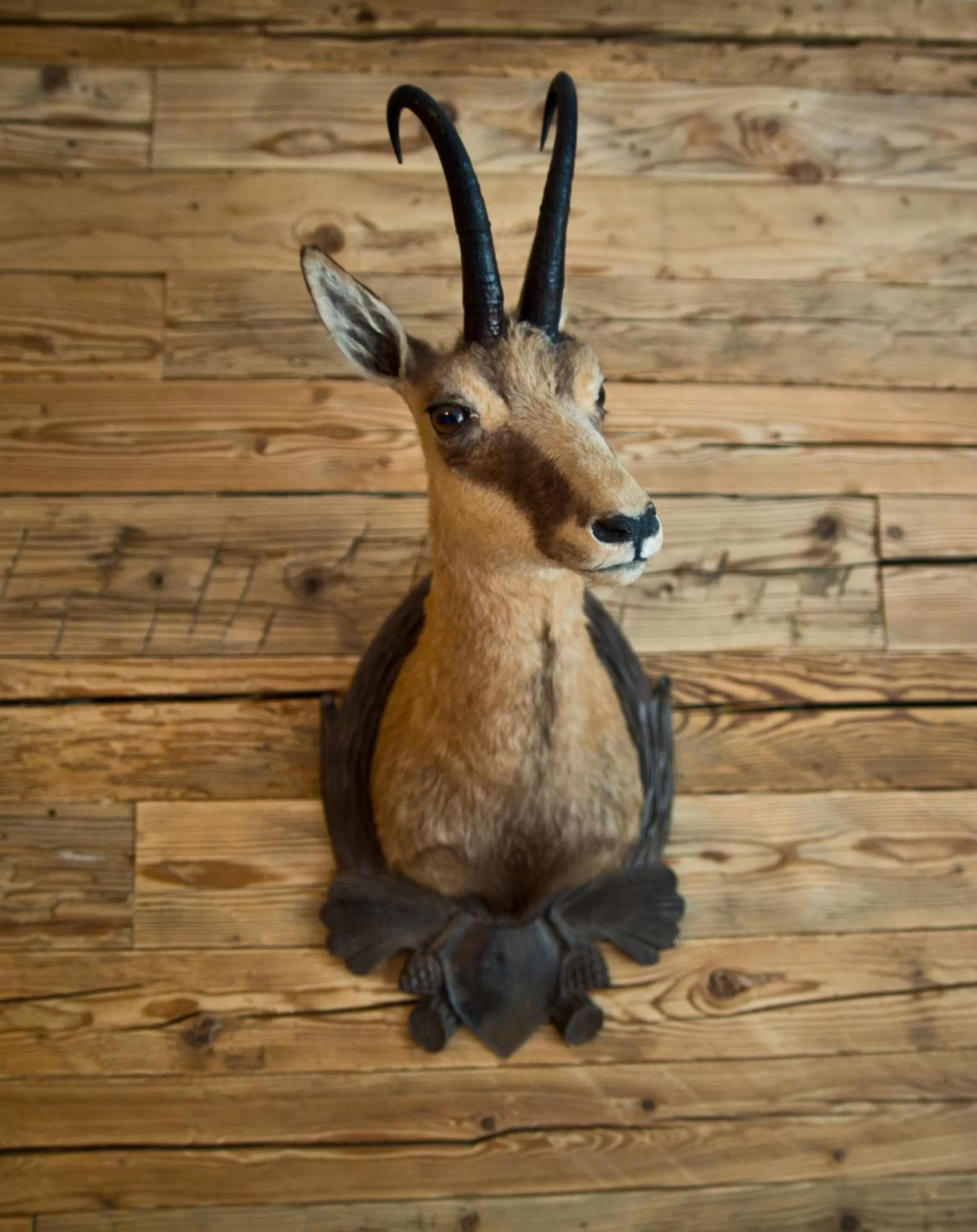 Decorative detail in Hotel Gamshof