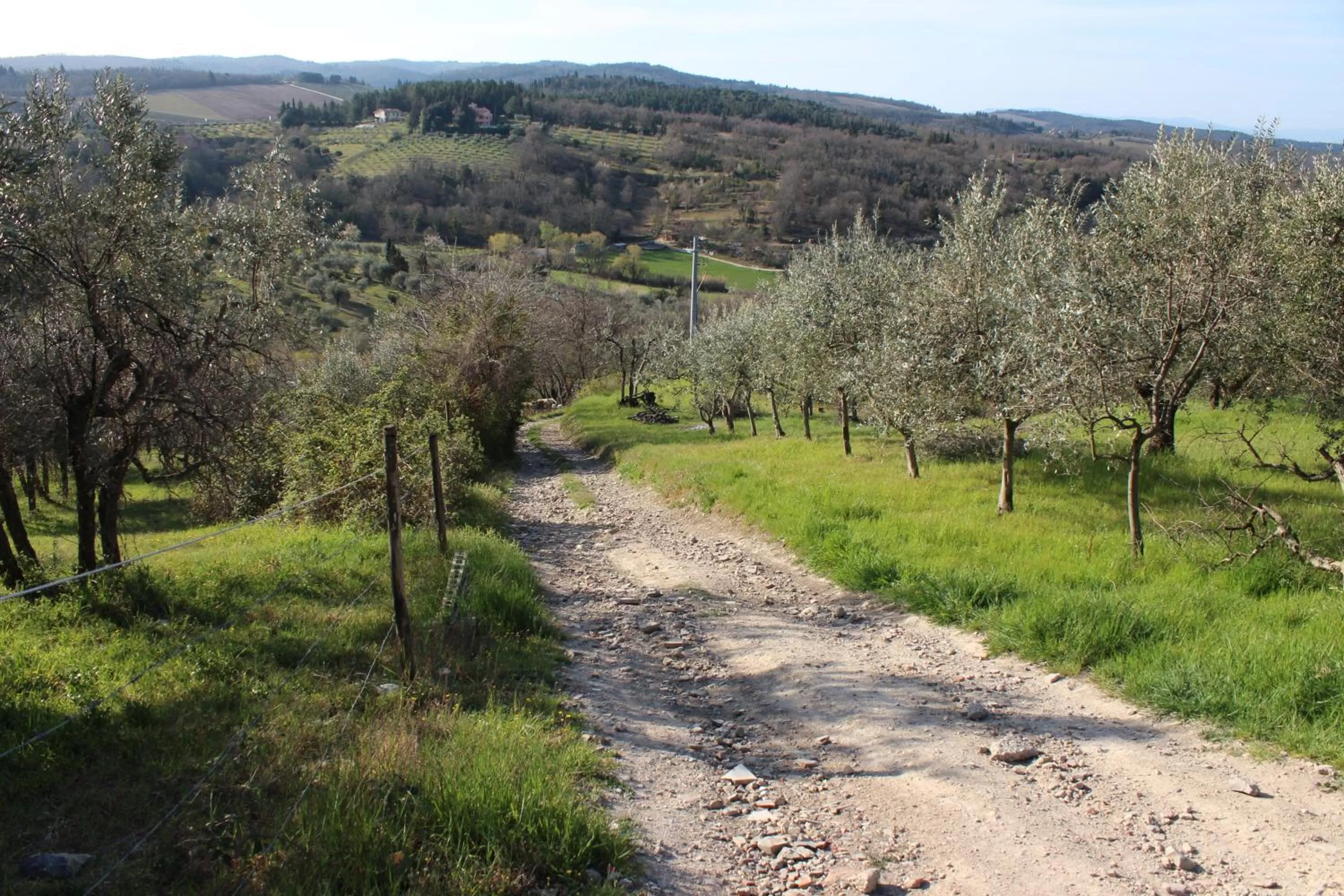 Activities in Le Terrazze Del Chianti b&b Residenza d'Epoca e di Charme