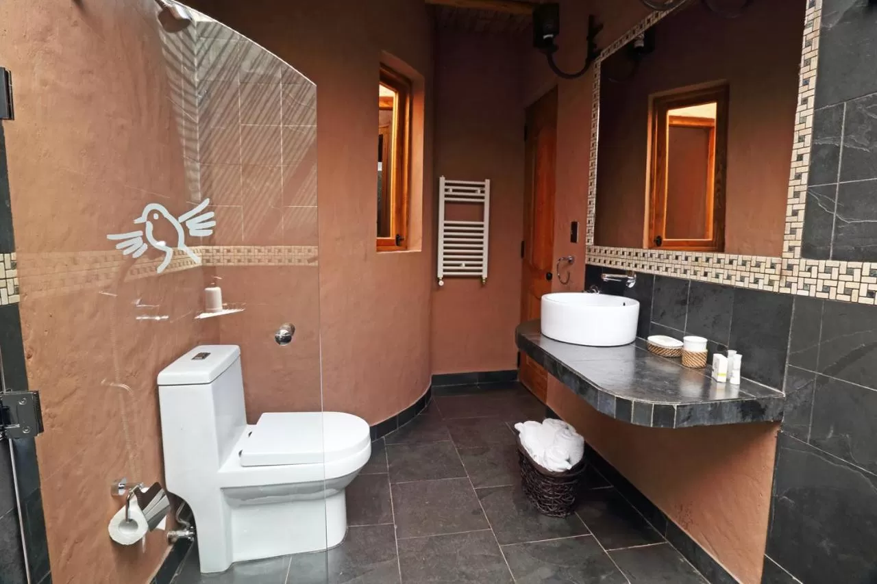 Bathroom in Hotel Pascual Andino