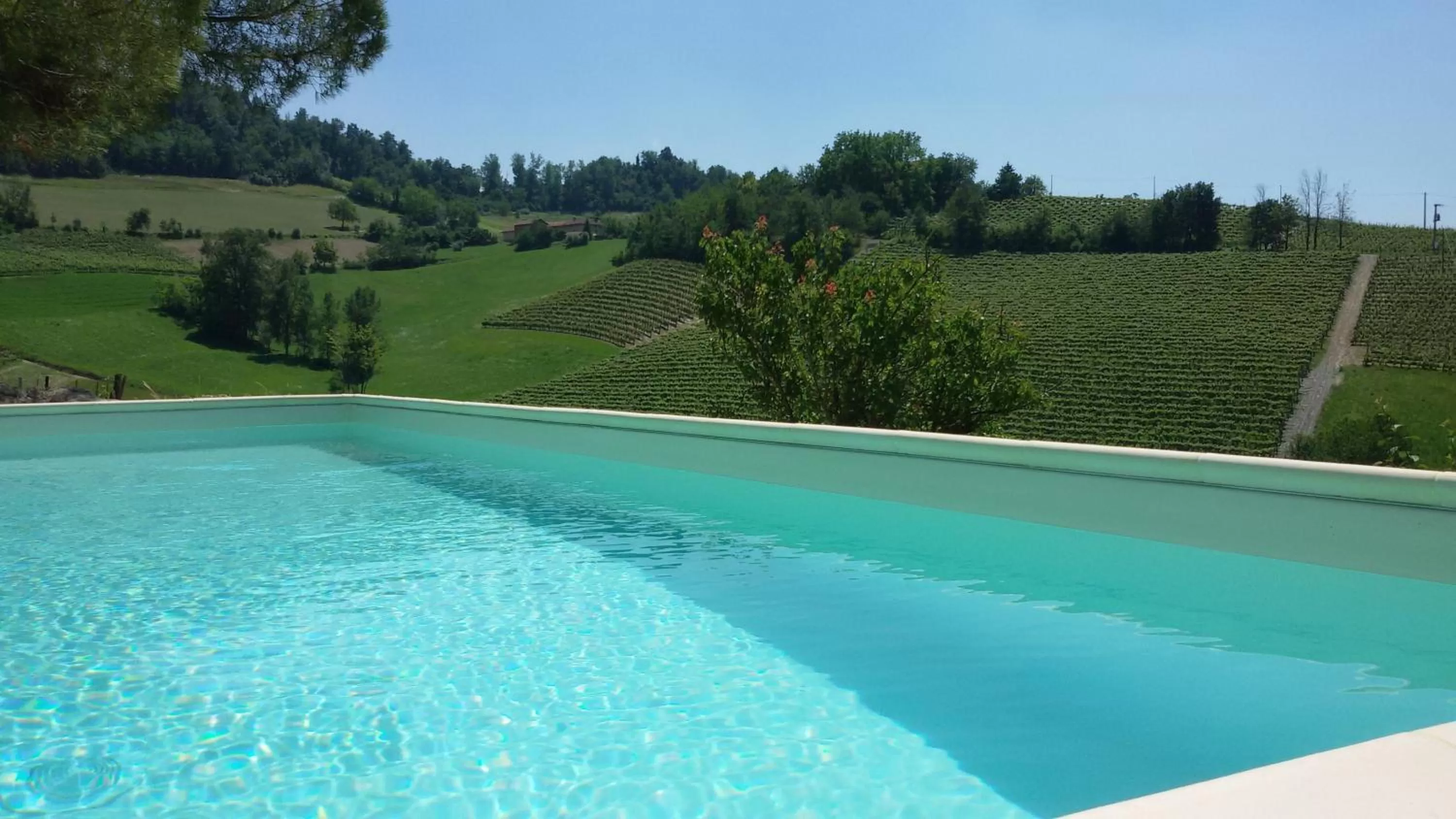 Swimming pool in Cascina Torello