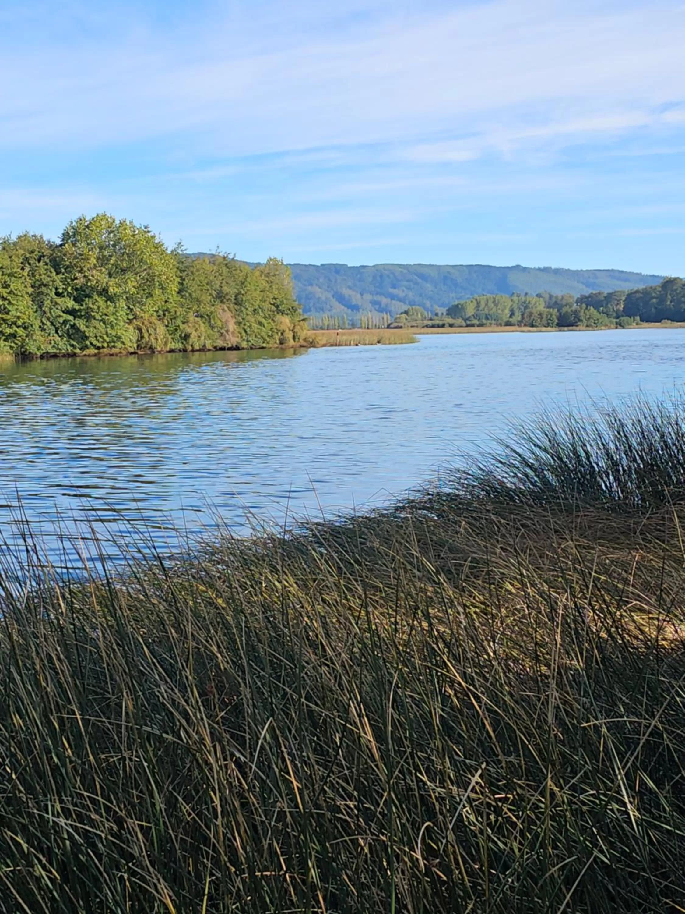 River view, Natural Landscape in Cabañas Rosner