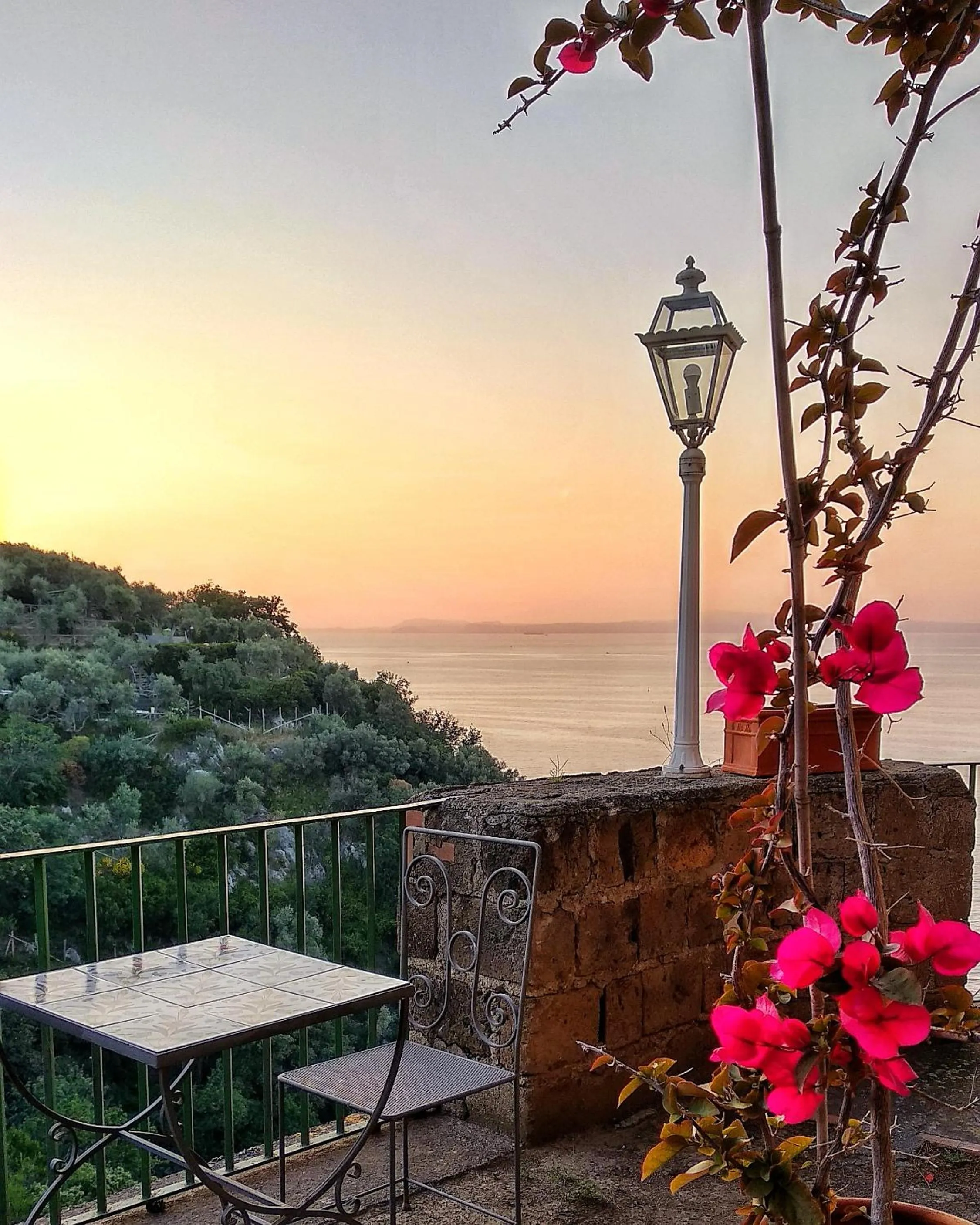 Natural landscape in Hotel Desiree