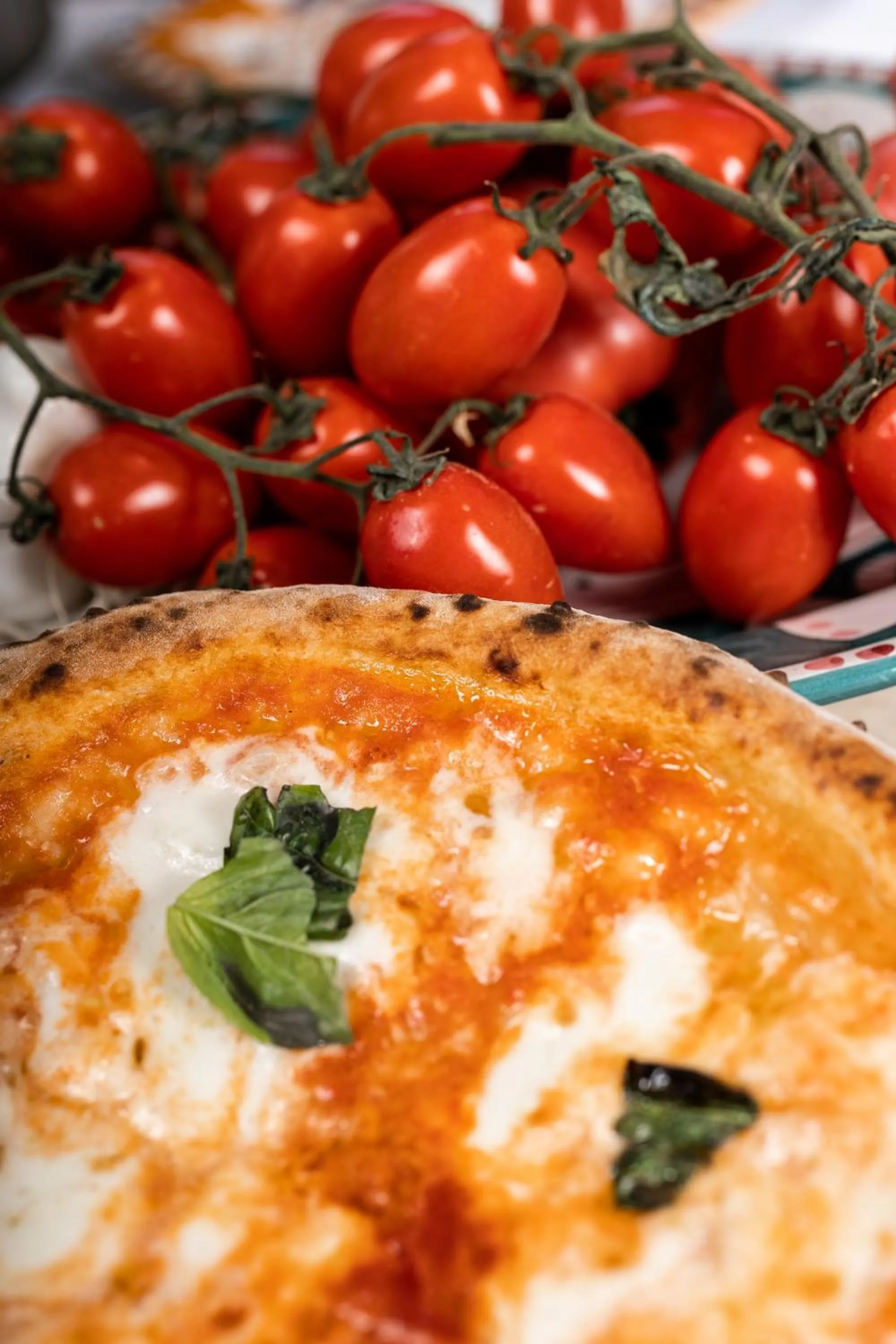 Food in Grand Hotel Cocumella