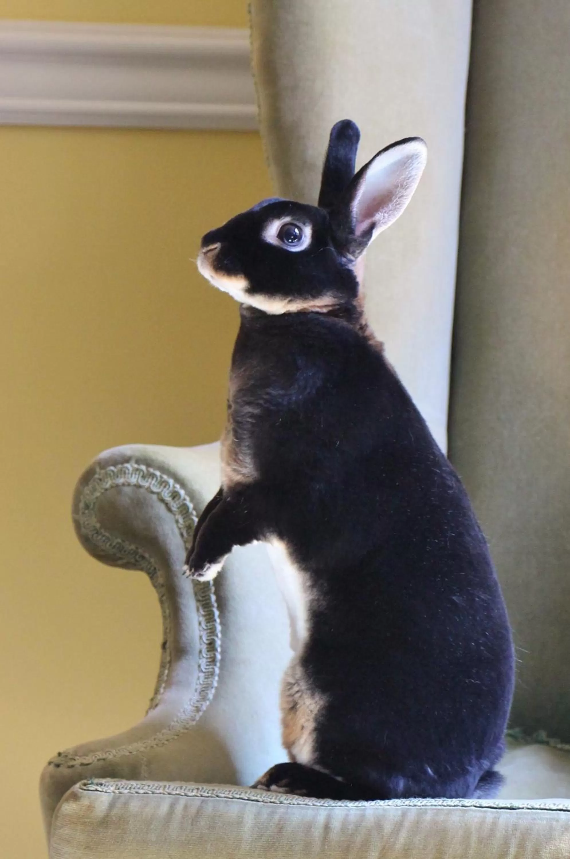 Other in Newport House Bed & Breakfast